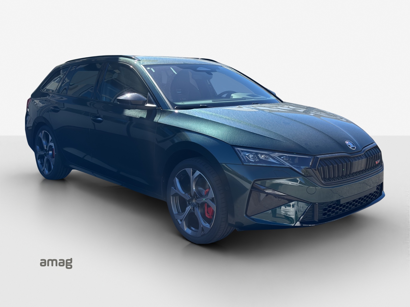 SKODA Octavia Combi 2.0 TSI DSG RS 30 Years Edition-image-5