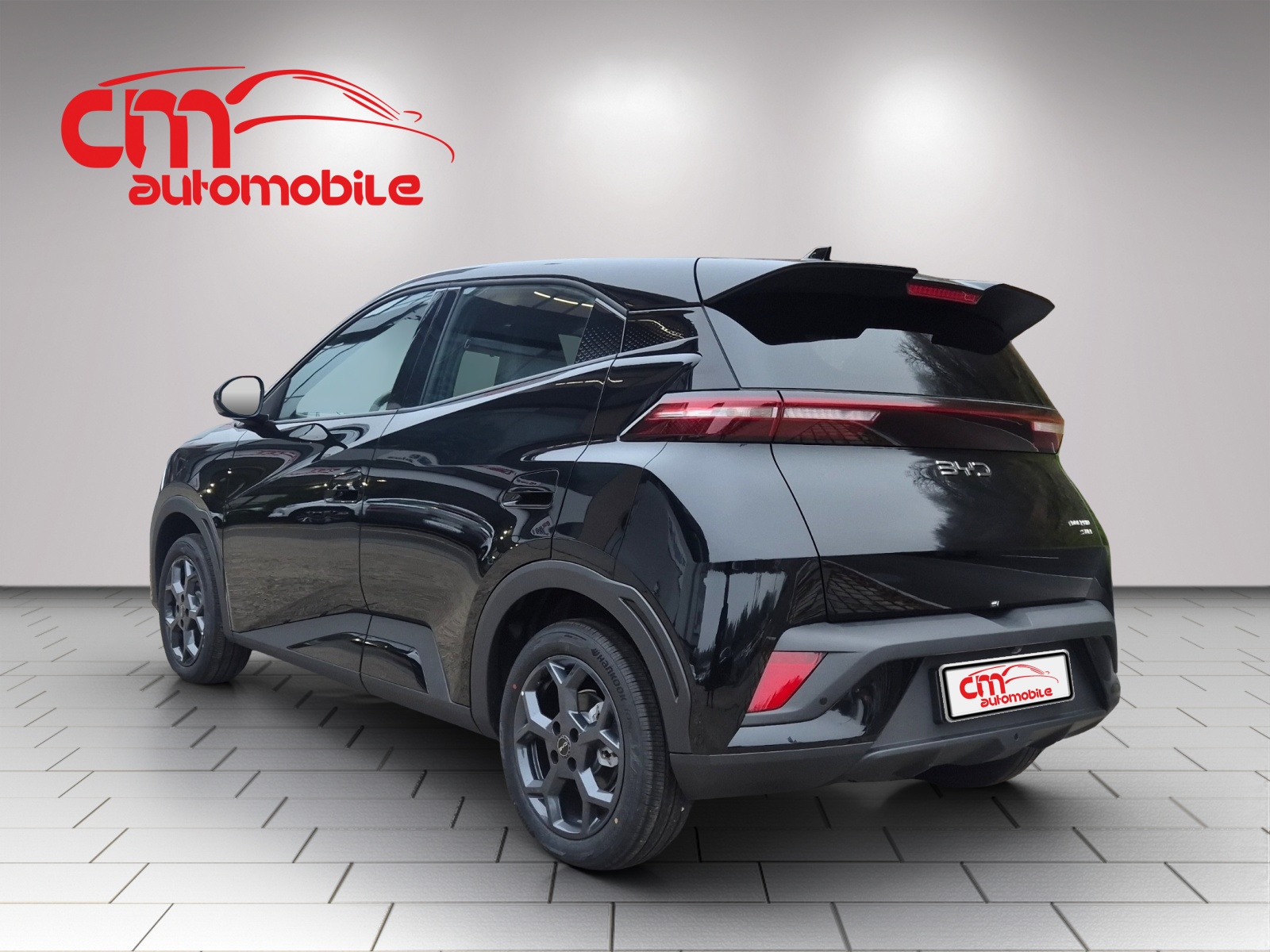 BYD Dolphin Surf 43 kWh Boost-image-2