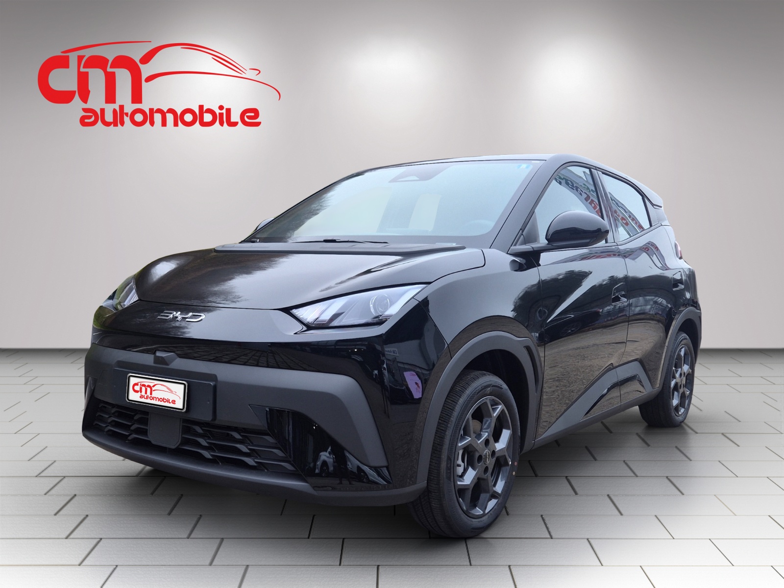 BYD Dolphin Surf 43 kWh Boost-image-0