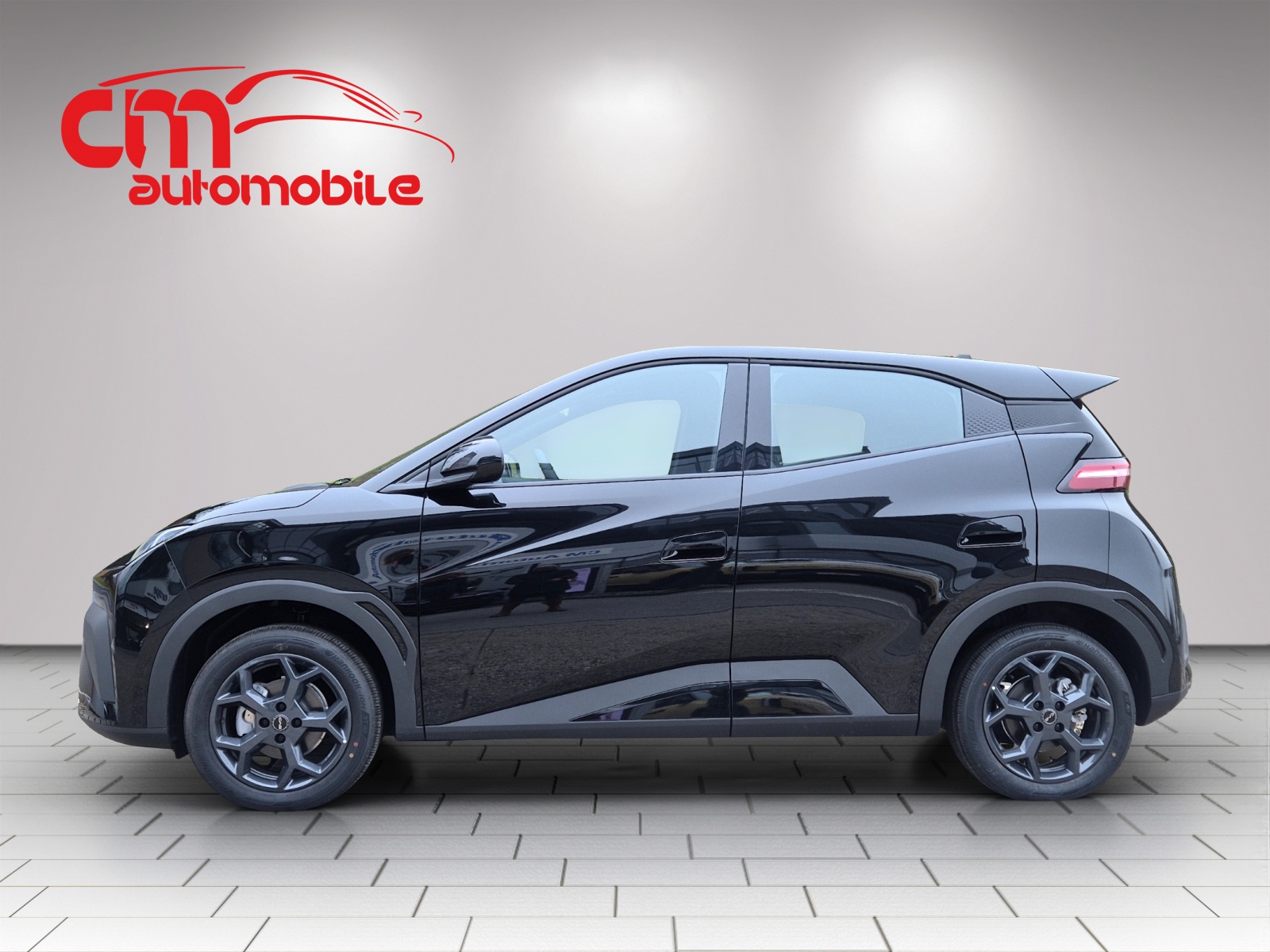 BYD Dolphin Surf 43 kWh Boost-image-1