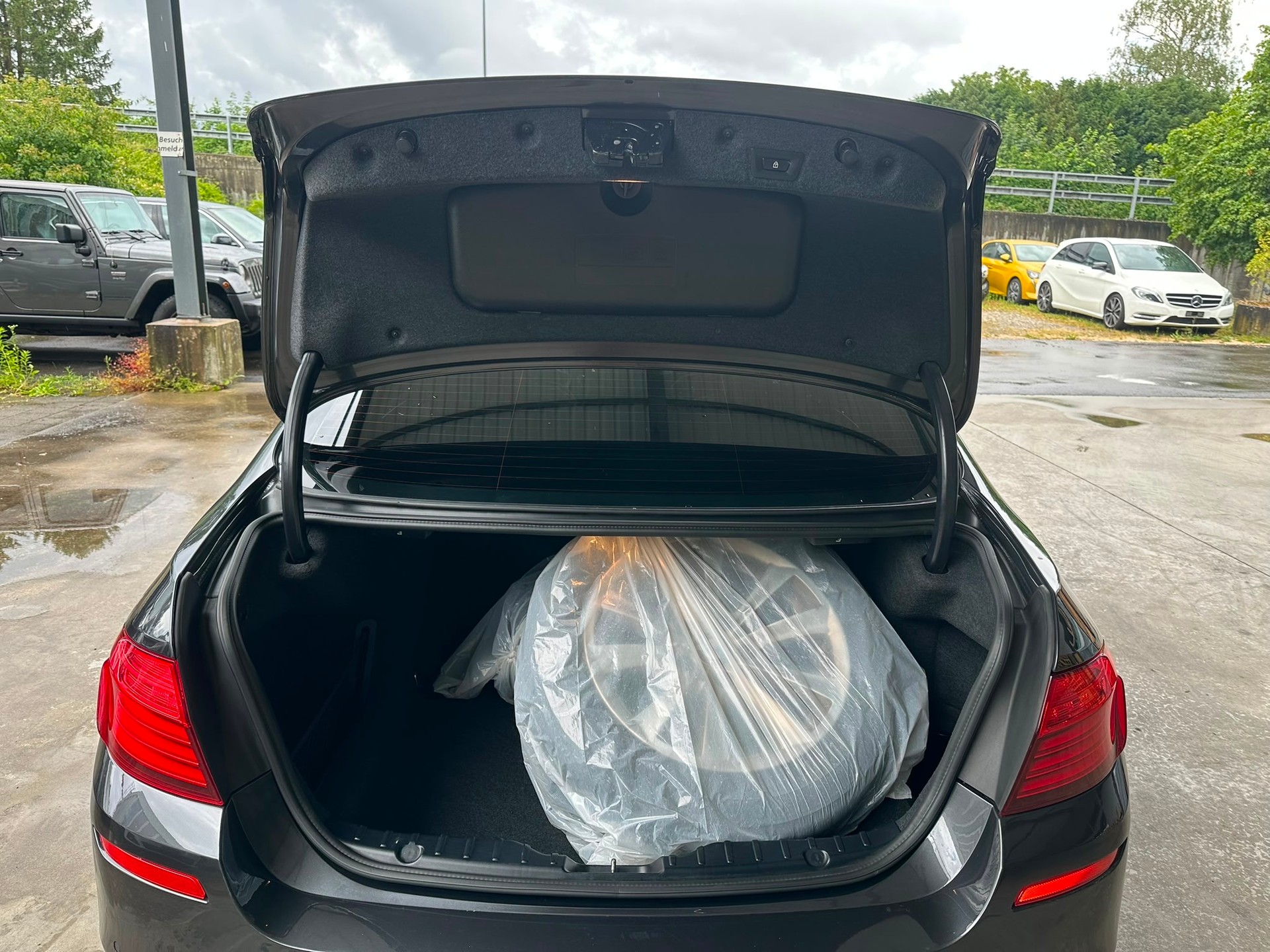 BMW 528i xDrive Luxury Line Steptronic-image-9
