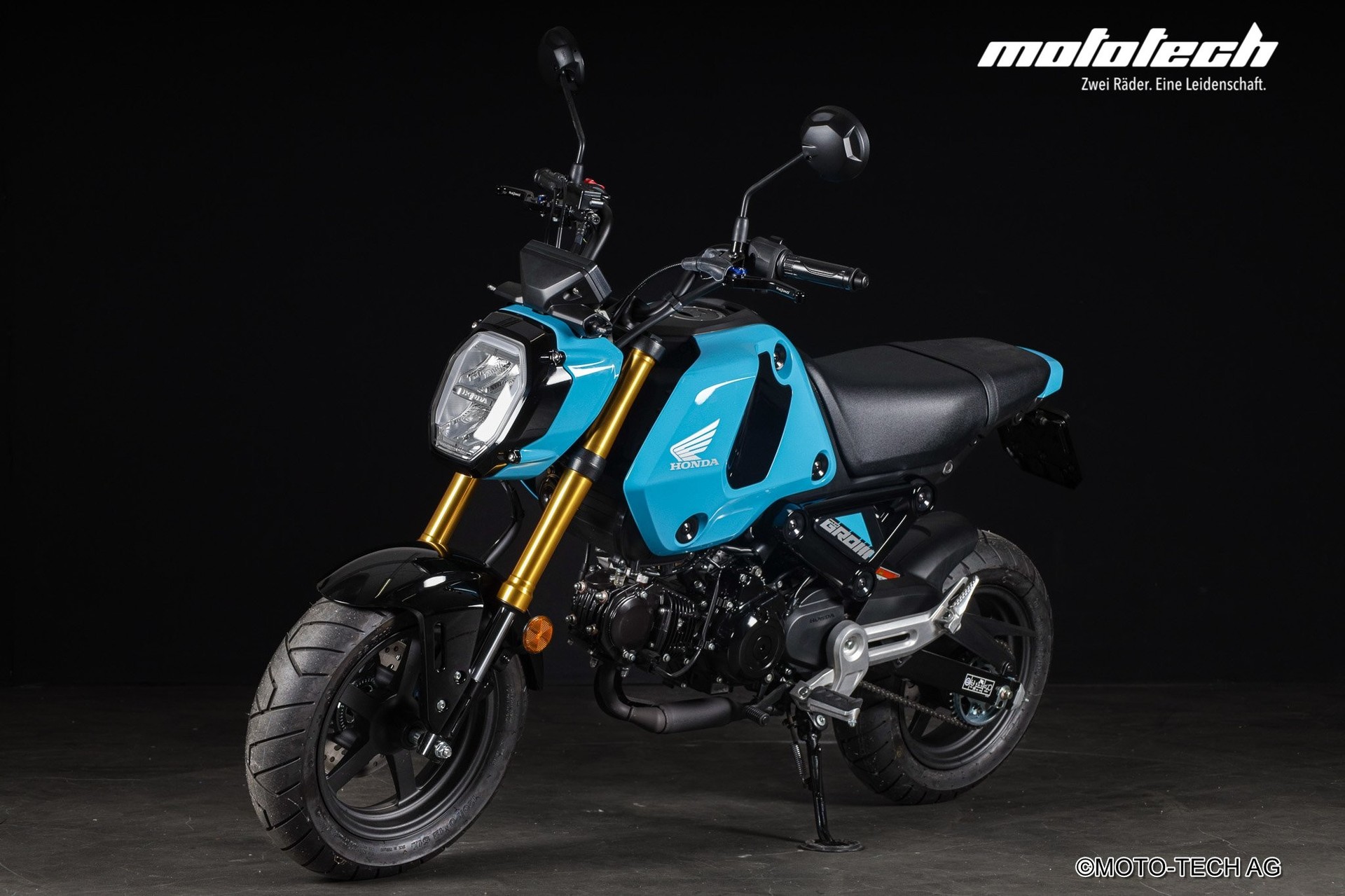 HONDA MSX 125 GROM-image-5