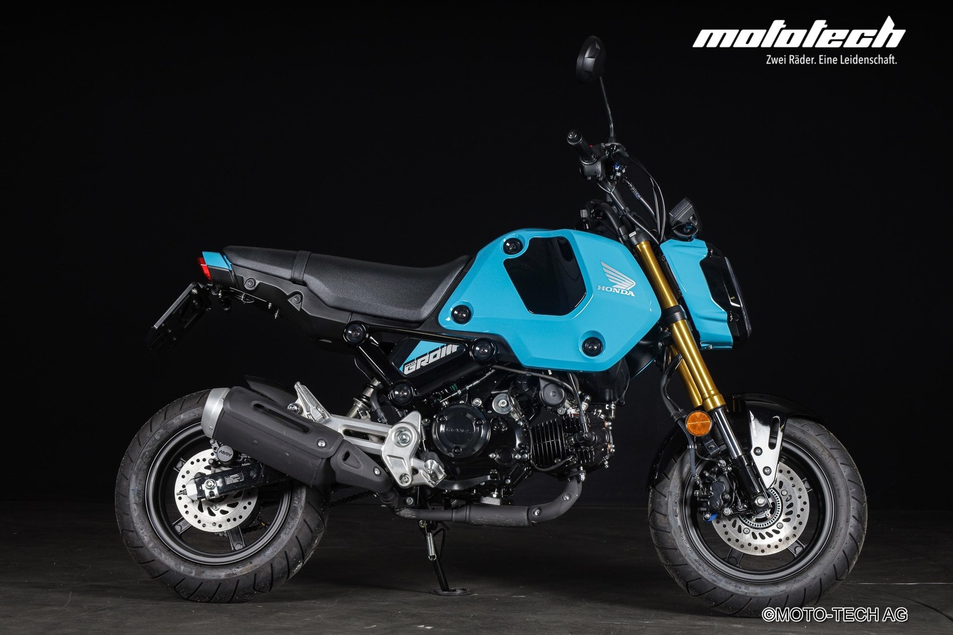 HONDA MSX 125 GROM-showroom-element-1