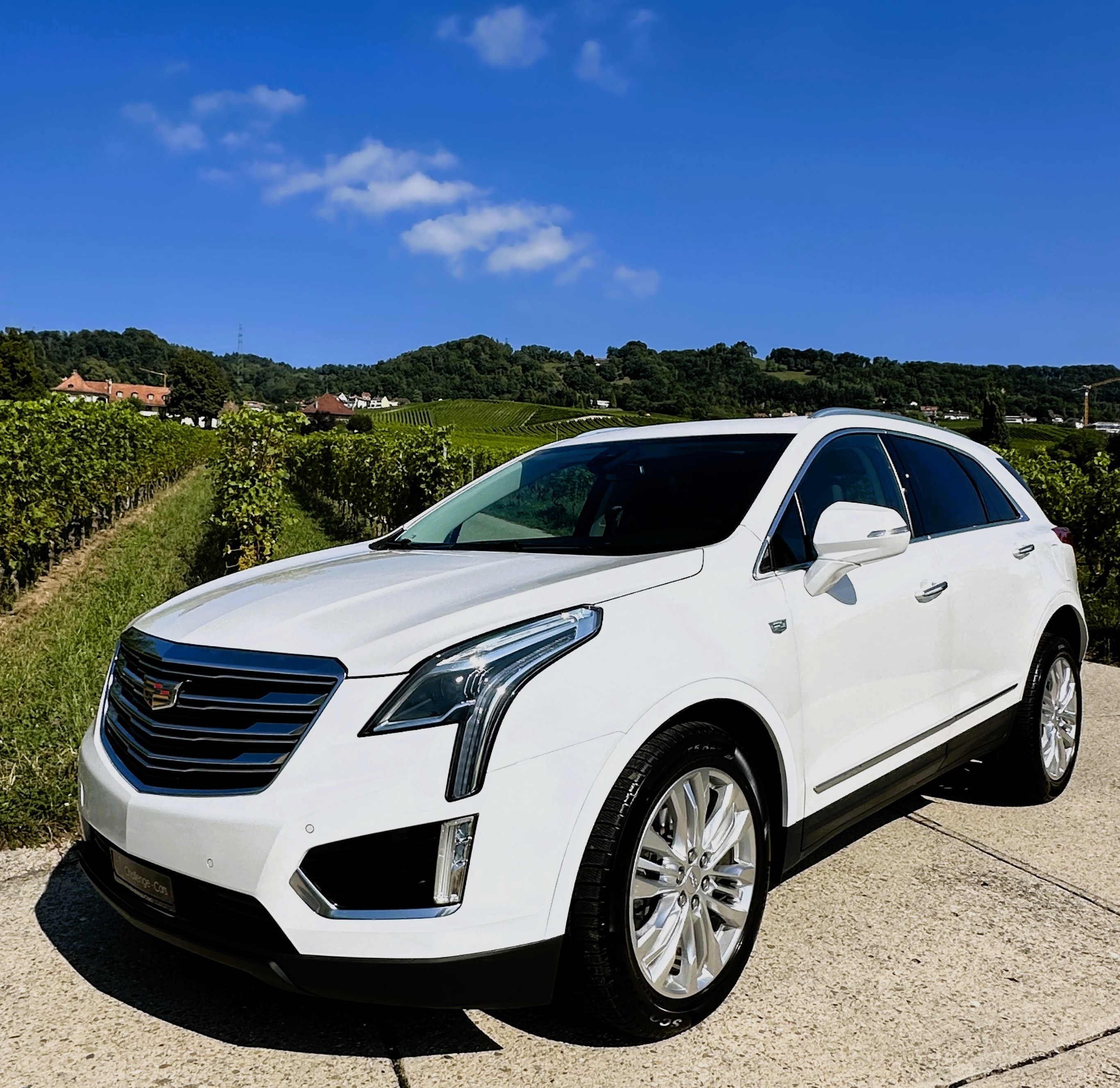 Car photo