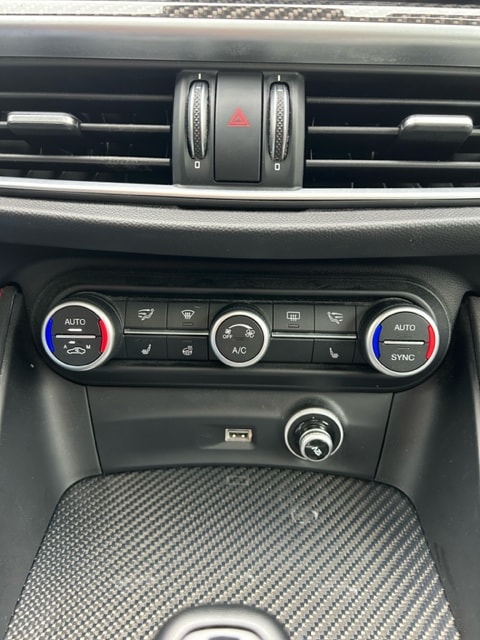 ALFA ROMEO Stelvio 2.9 V6 Quadrifoglio Q4 Automatic-image-18