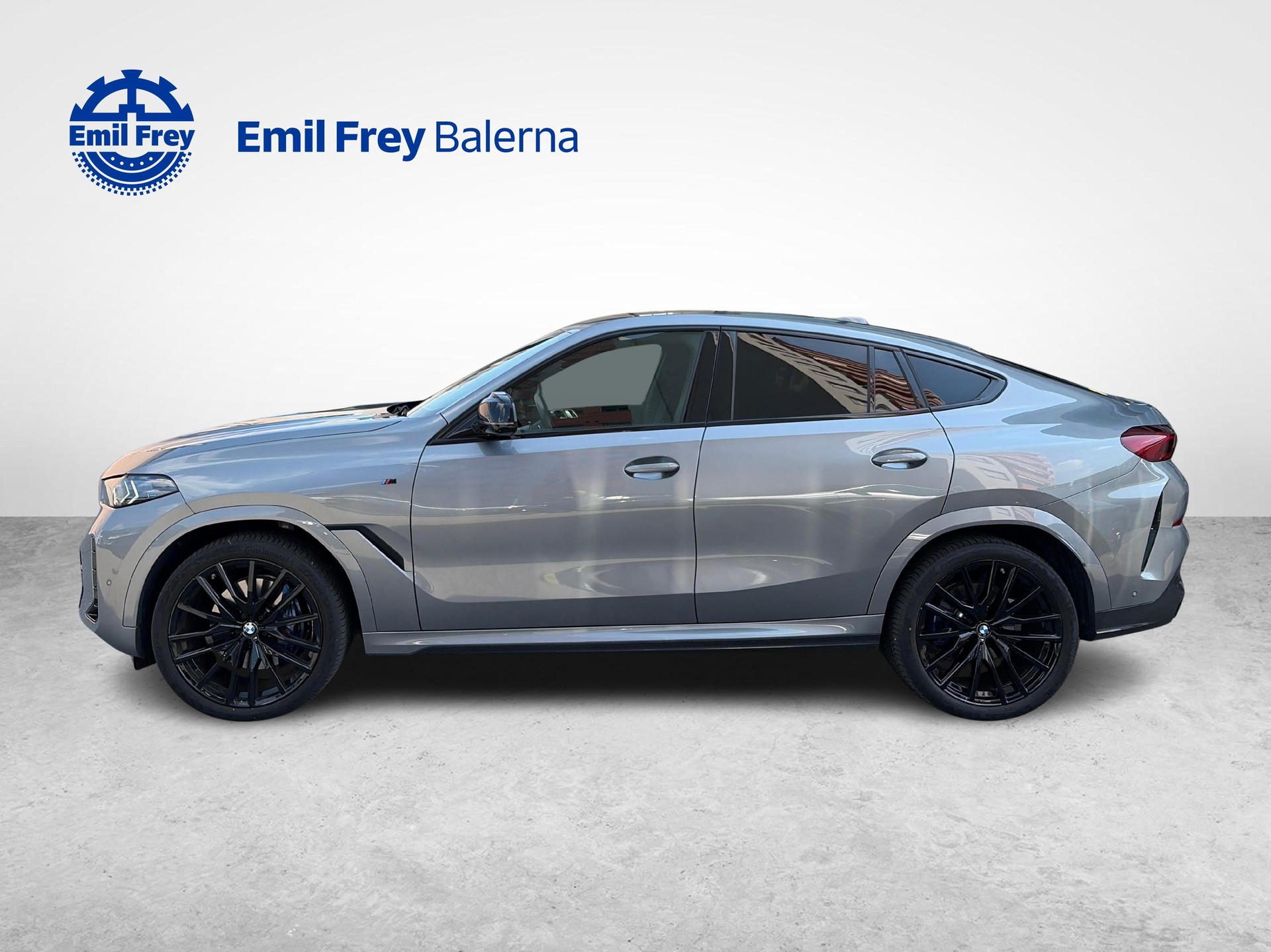 BMW X6 xDrive 40i-image-2