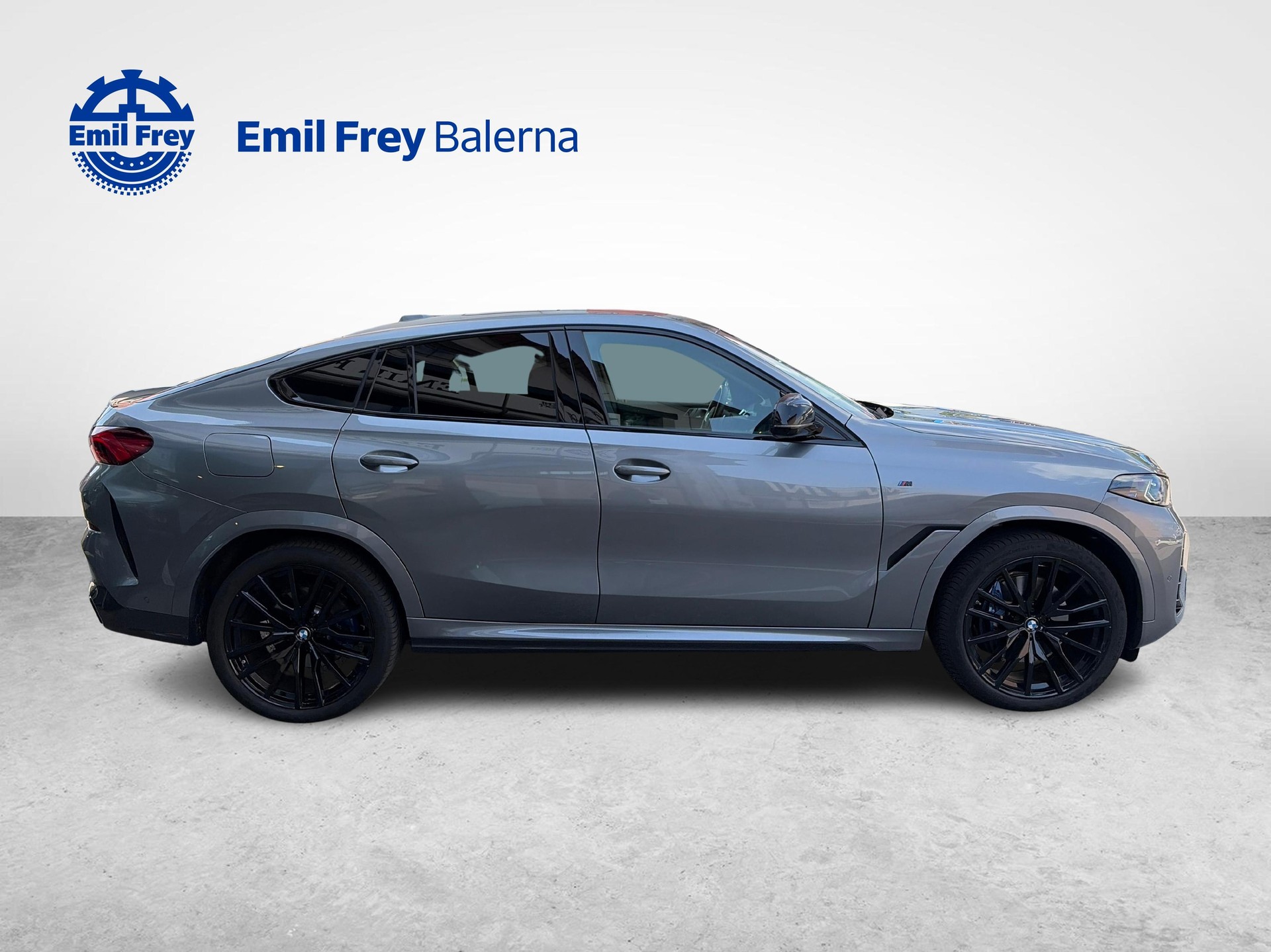 BMW X6 xDrive 40i-image-6