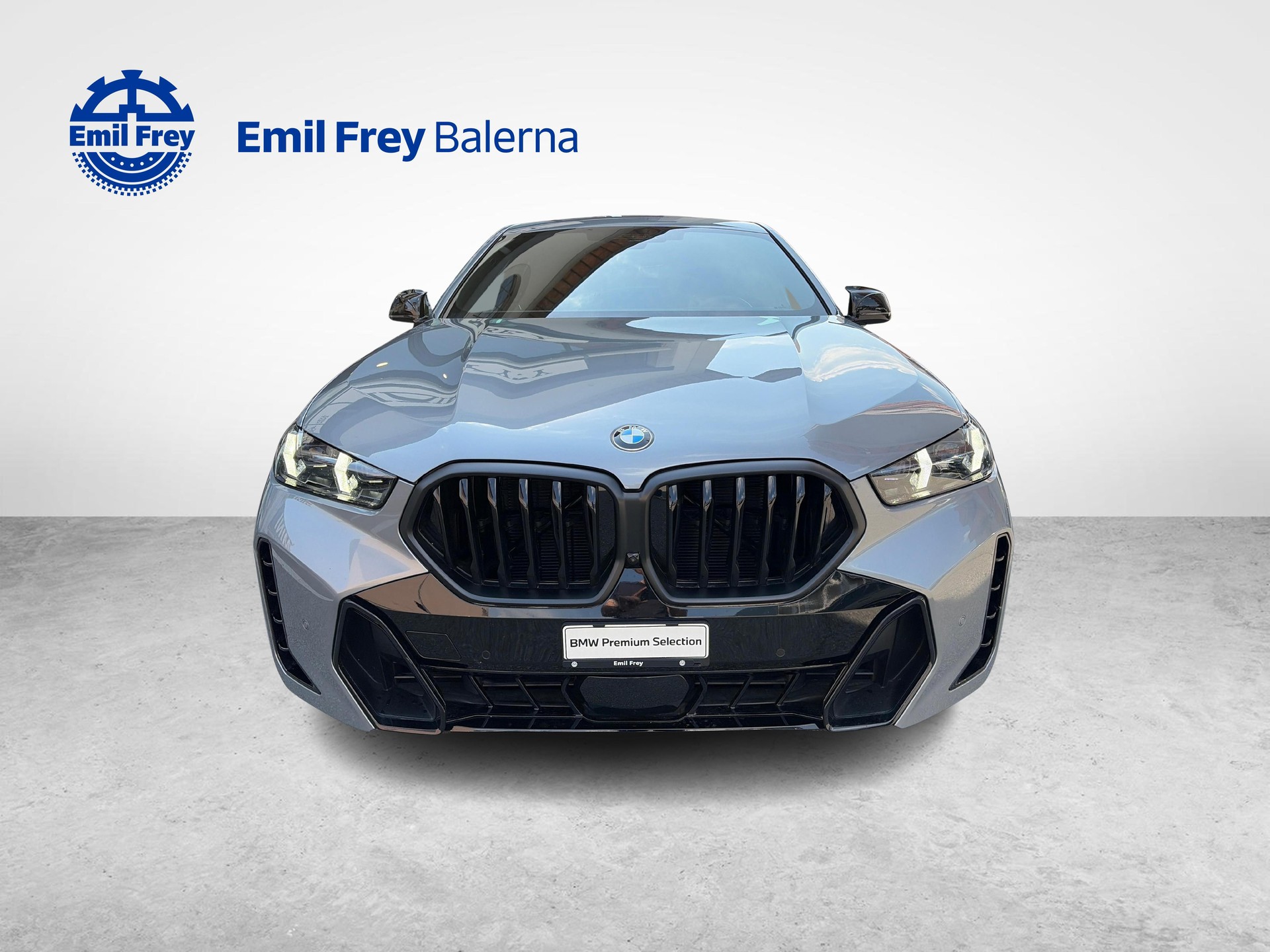 BMW X6 xDrive 40i-image-8
