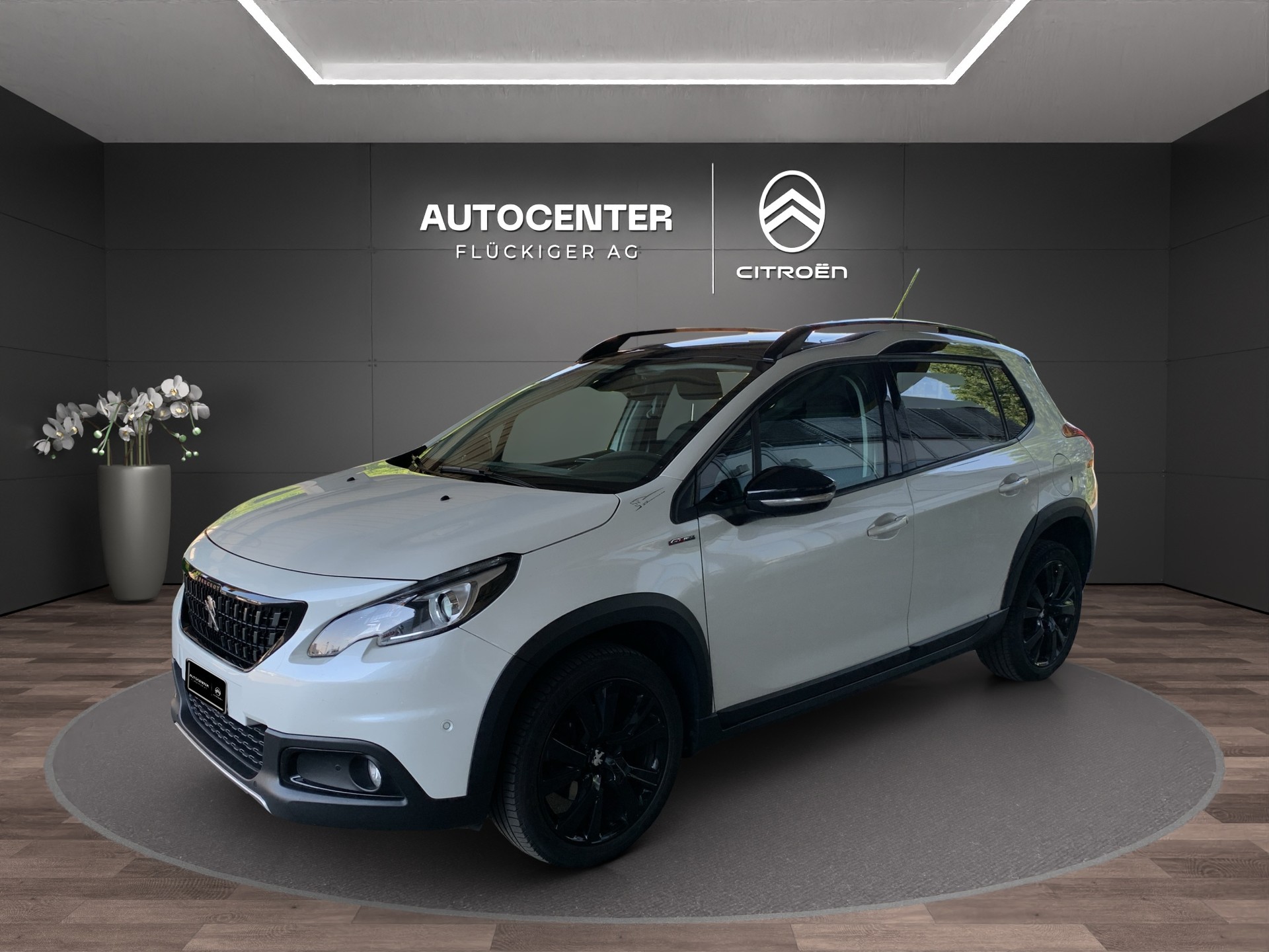 PEUGEOT 2008 1.2 PureTech 110 GT Line S/S-image-8