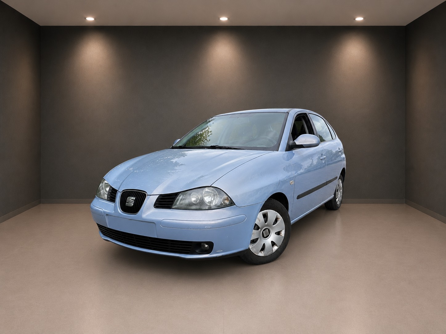 SEAT IBIZA-image-0