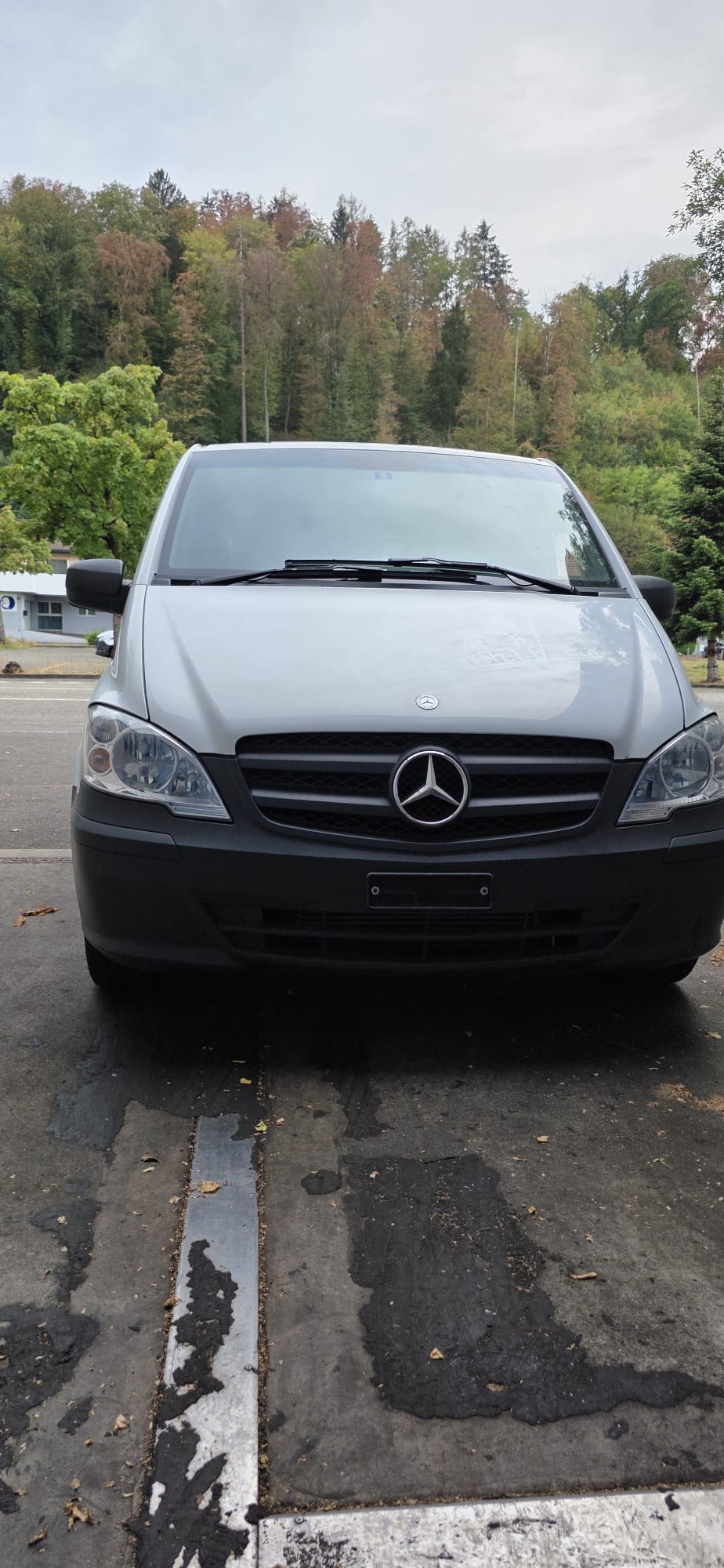 MERCEDES-BENZ Vito 113 CDI-image-2