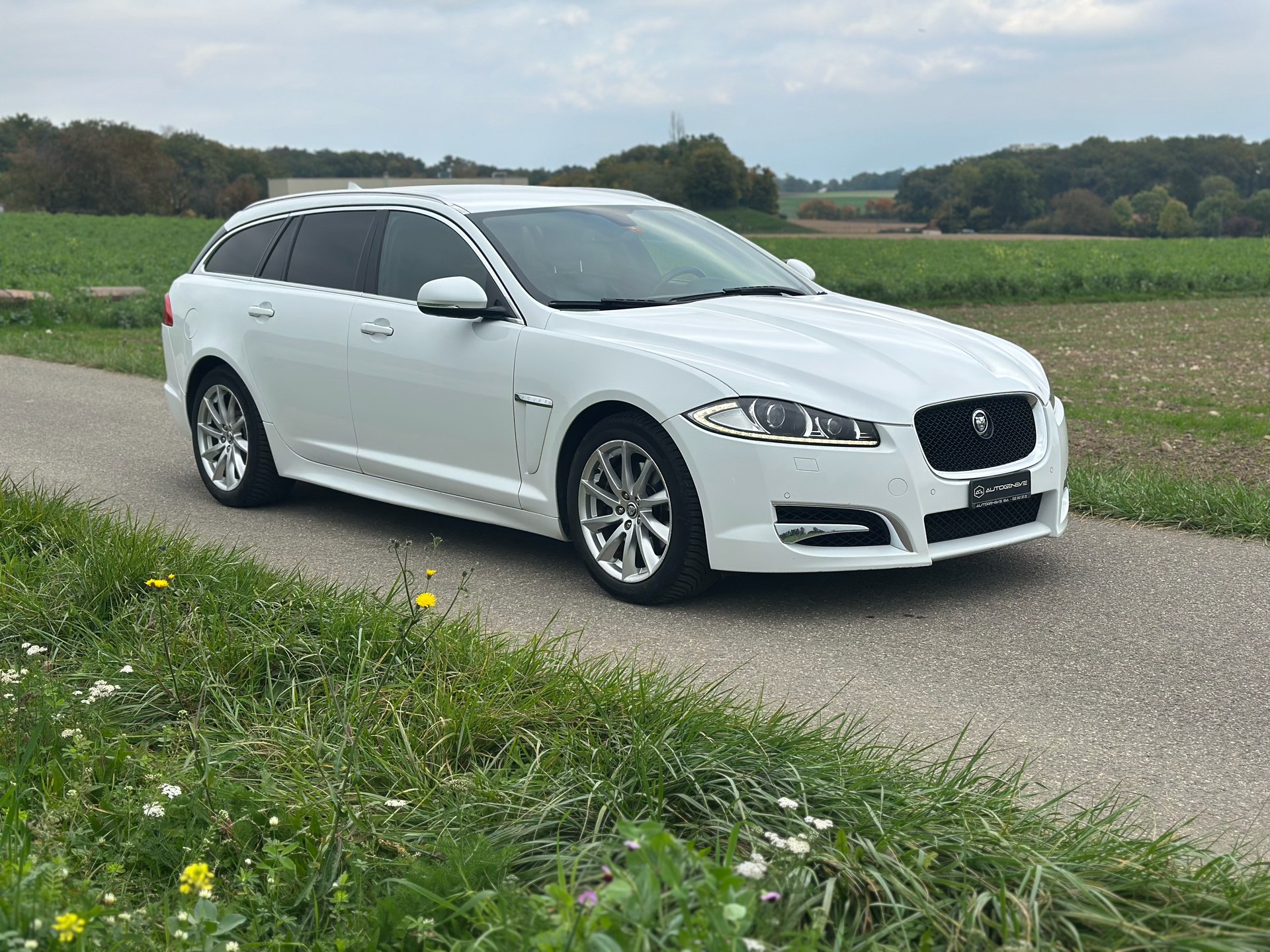 JAGUAR XF Sportbrake 3.0d V6 Luxury-image-6