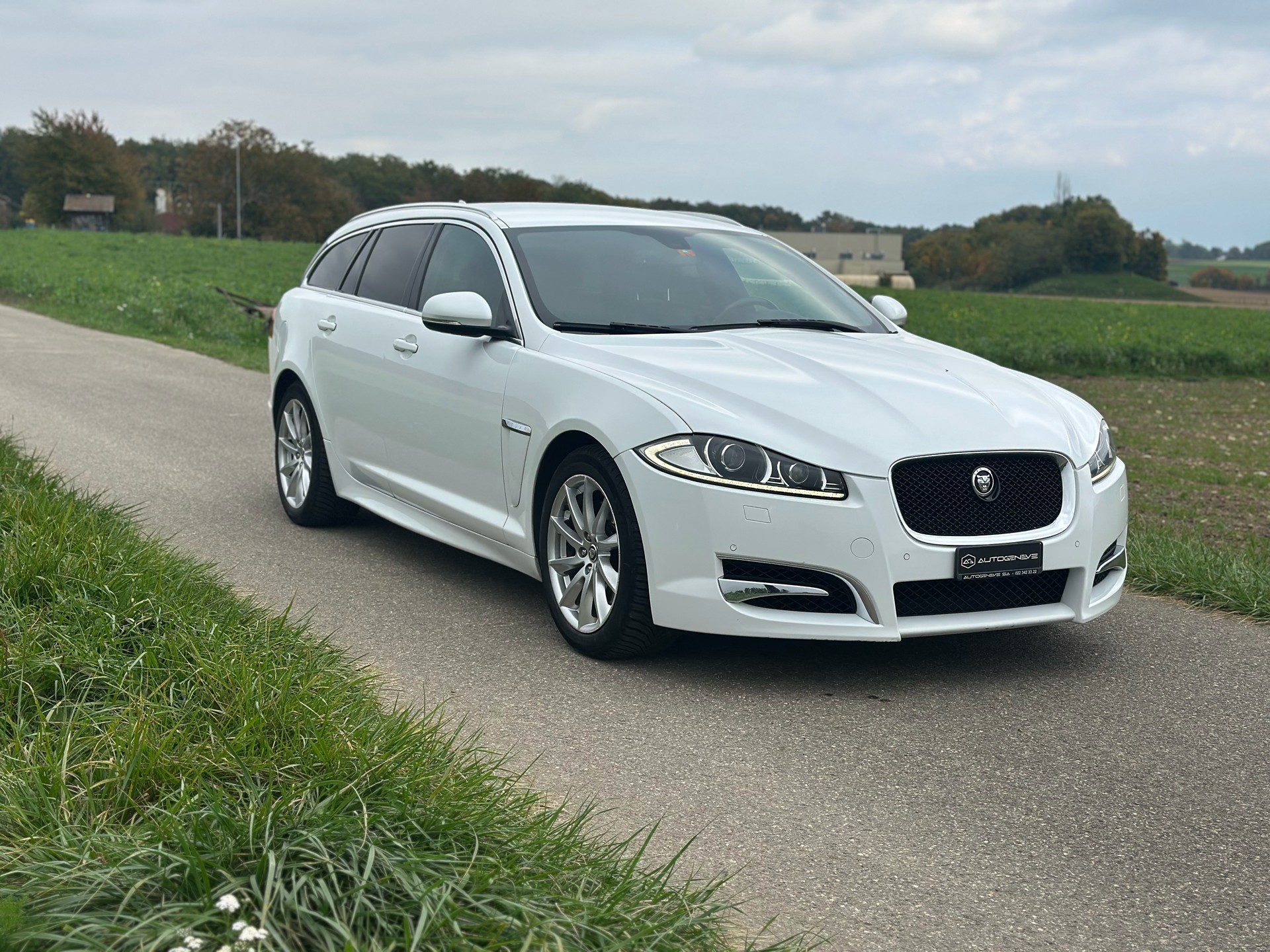JAGUAR XF Sportbrake 3.0d V6 Luxury-image-5