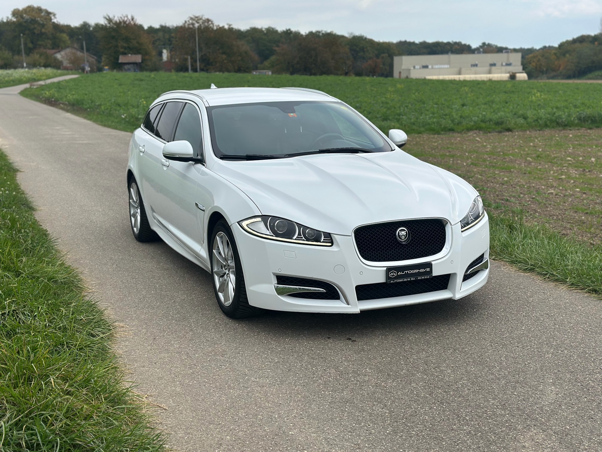 JAGUAR XF Sportbrake 3.0d V6 Luxury-image-4