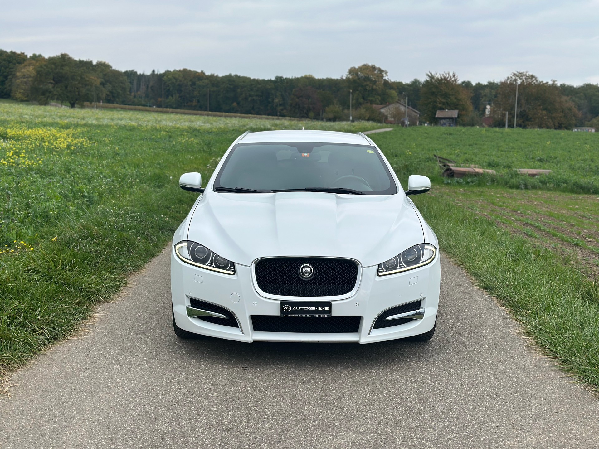 JAGUAR XF Sportbrake 3.0d V6 Luxury-image-0