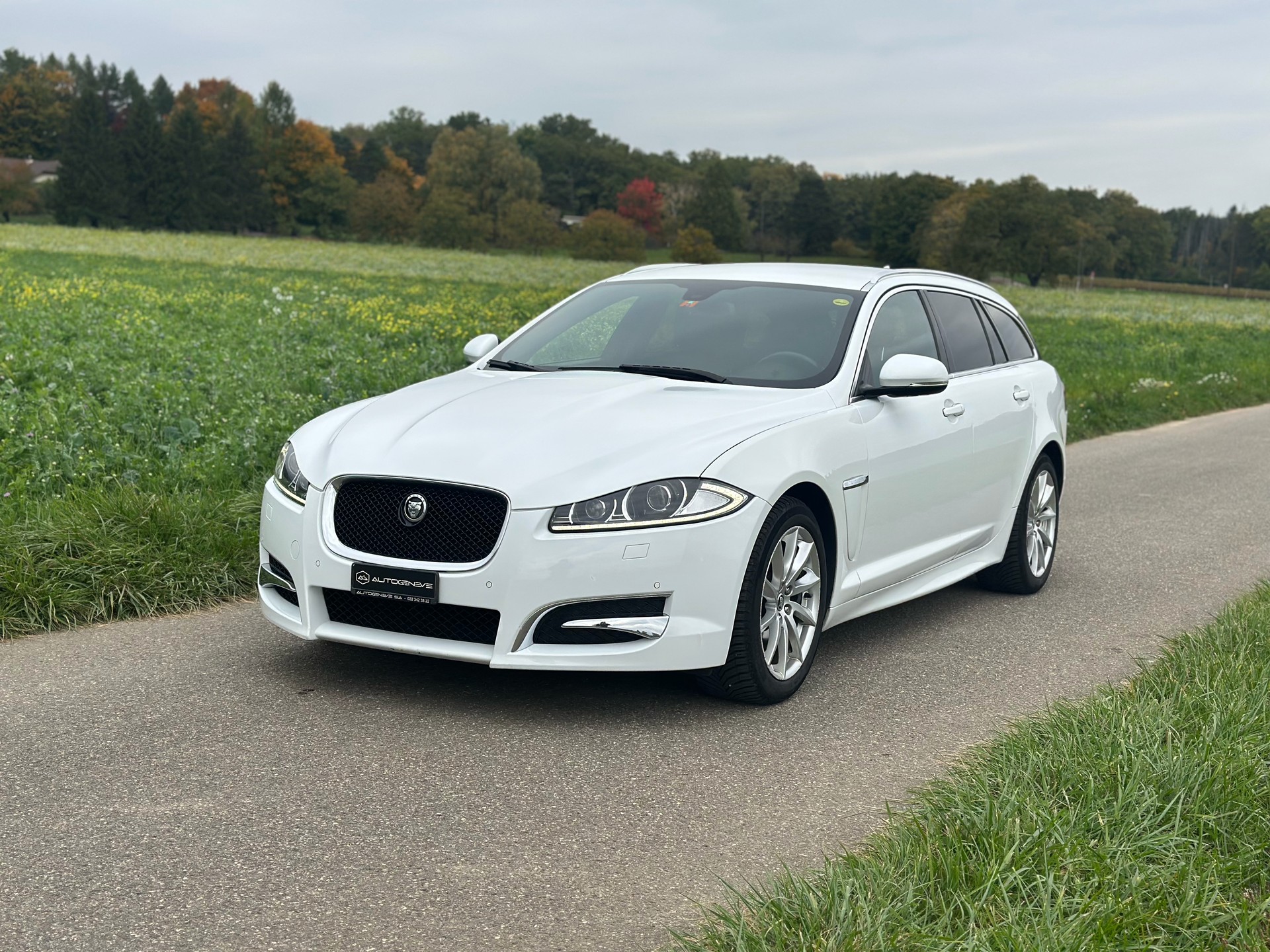 JAGUAR XF Sportbrake 3.0d V6 Luxury-image-2