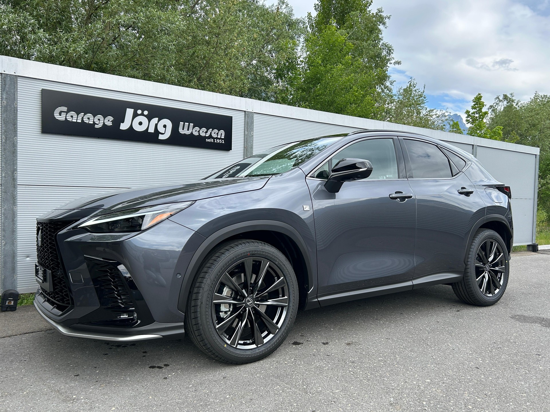 LEXUS NX 450h+ F-Sport-image-0