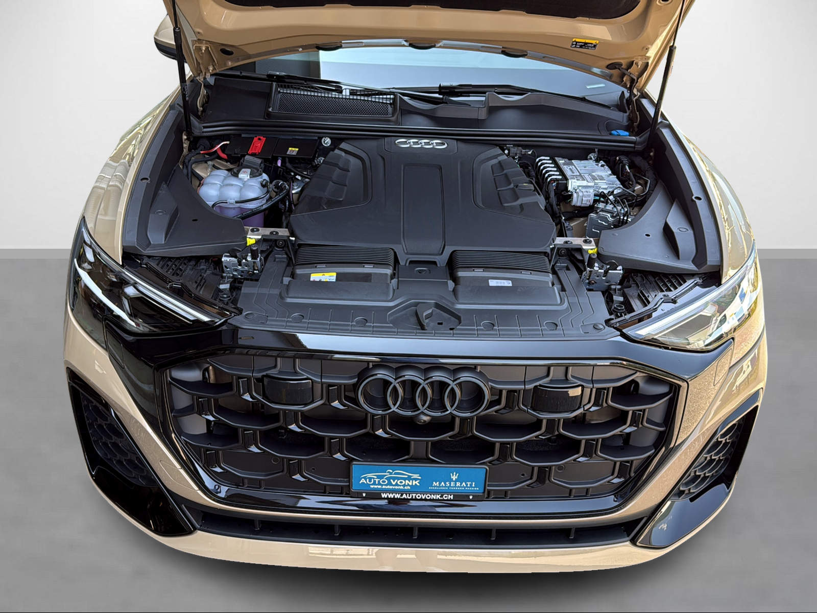 AUDI Q8 SUV 50 TDI S-Line quattro tiptronic-image-8