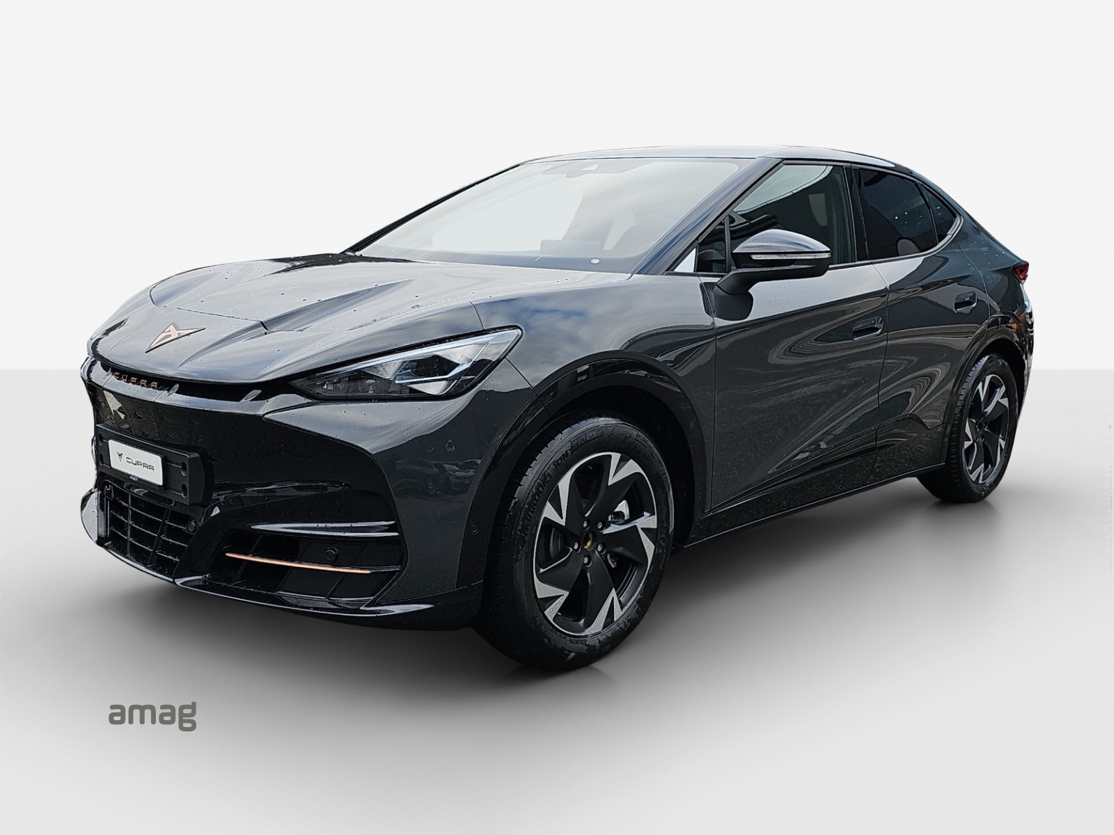 CUPRA Tavascan Type 4 77 kWh Endurance Edge-image-0