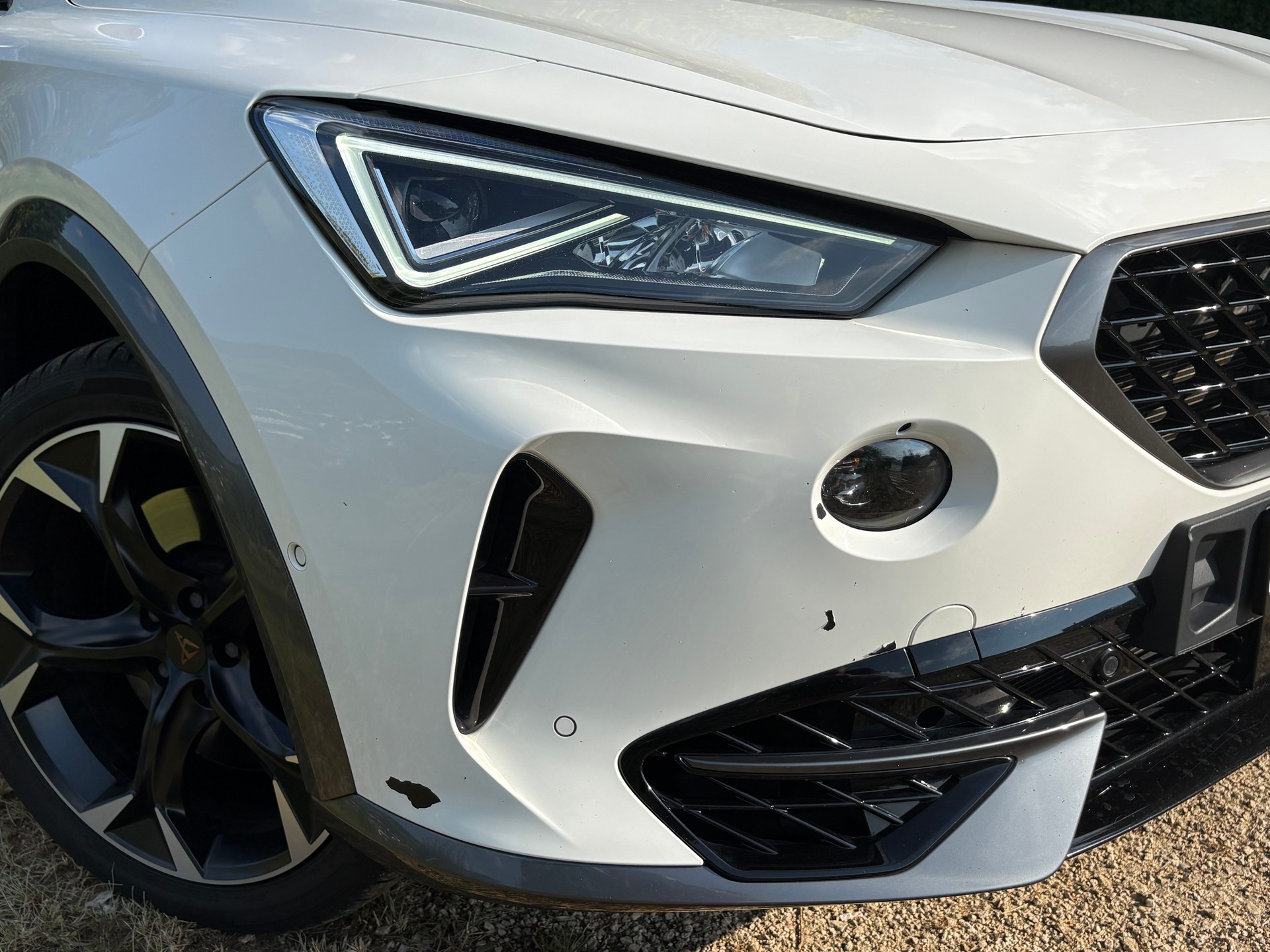 CUPRA 2.0 TSI VZ 4Drive DSG-image-4