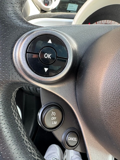 SMART forfour passion-image-20