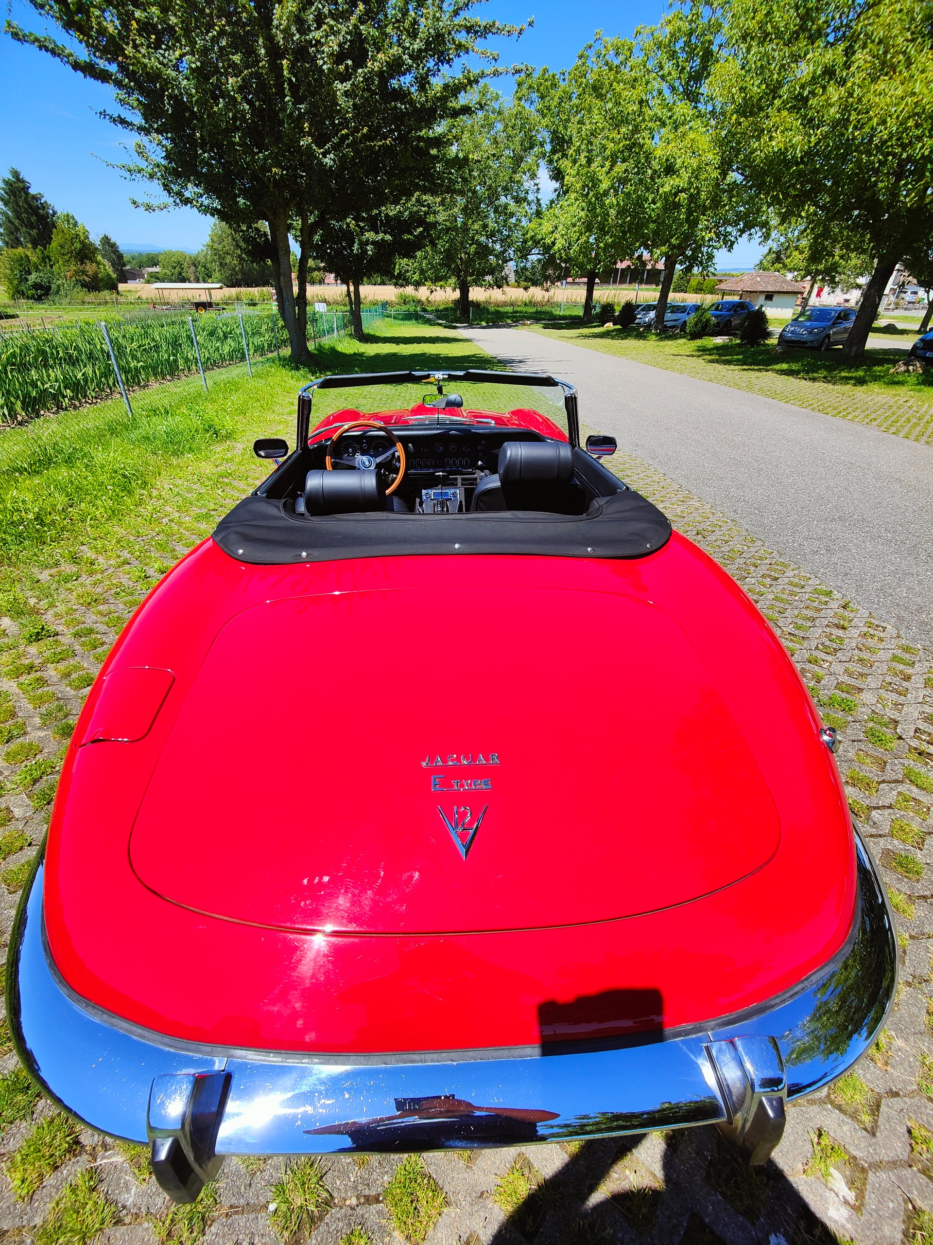 JAGUAR E-image-4