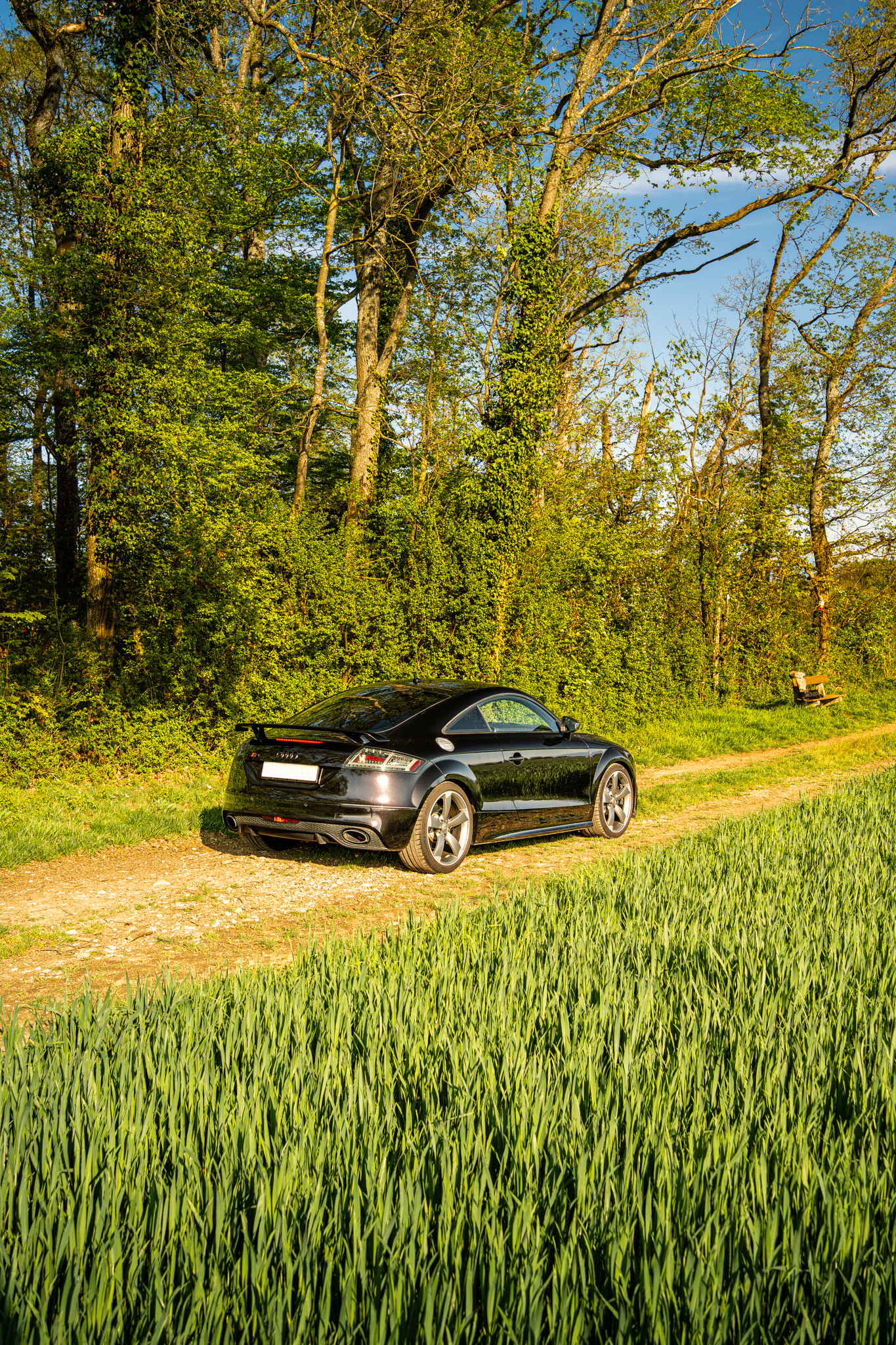 AUDI Audi TT Rs Plus Coupé-image-1