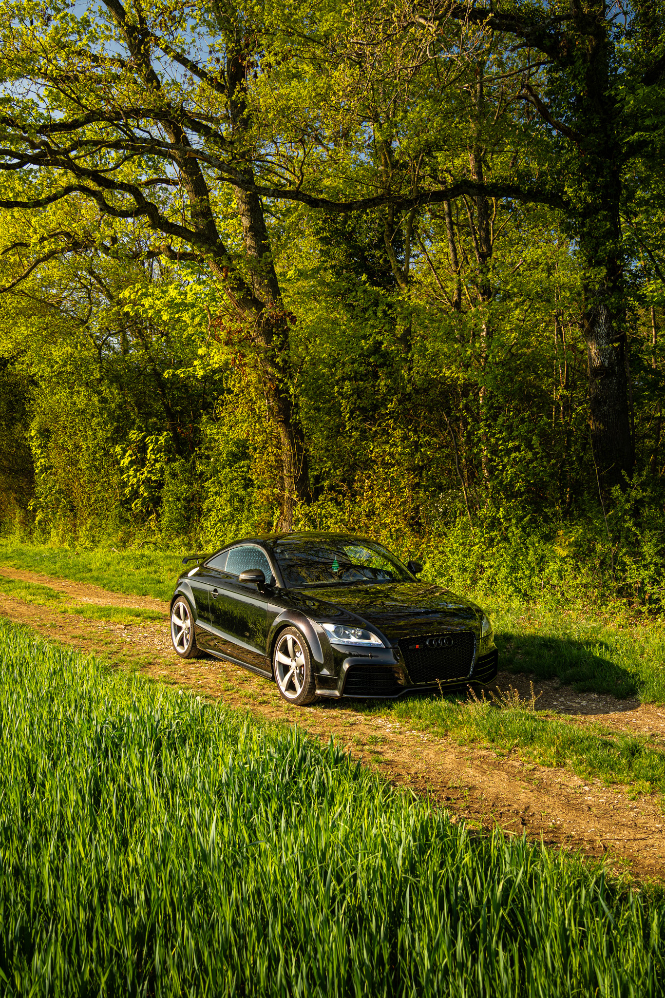 AUDI Audi TT Rs Plus Coupé-image-0