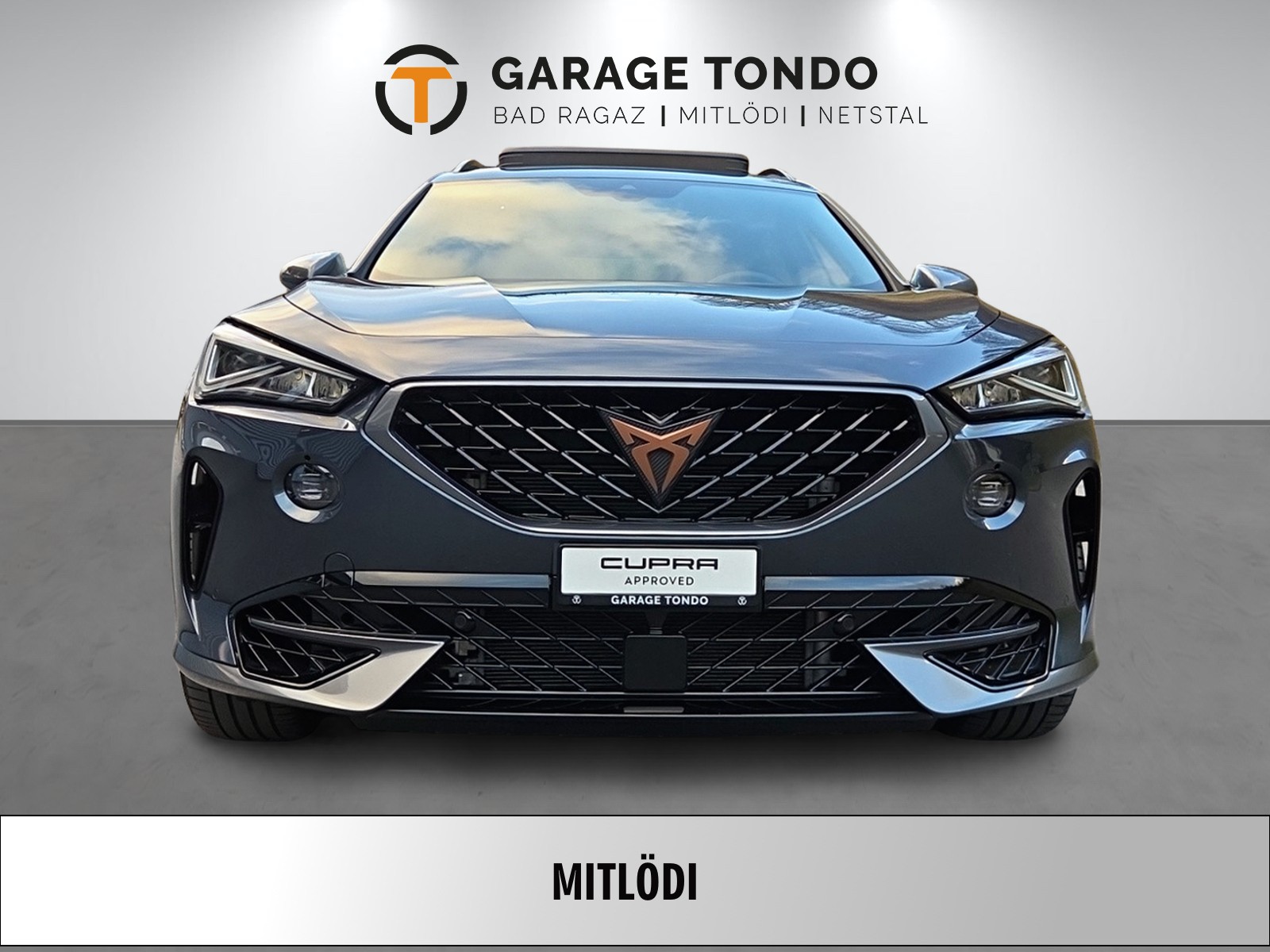 CUPRA Formentor 2.0 TSI VZ 4Drive DSG-showroom-element-1
