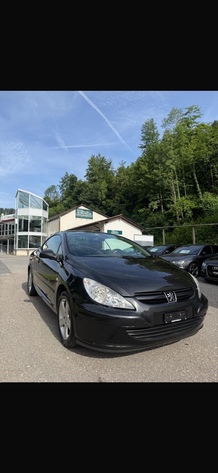 PEUGEOT 307 CC 2.0 16V-image-2