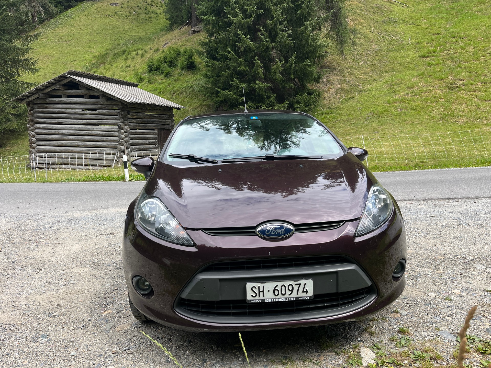 FORD 1.25 16V 82 Trend+-image-2
