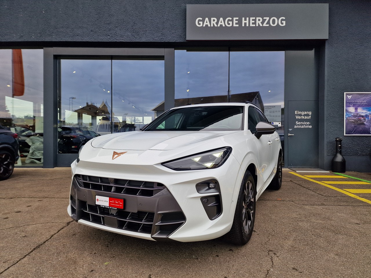 CUPRA Terramar 1.5 eTSI DSG-image-0