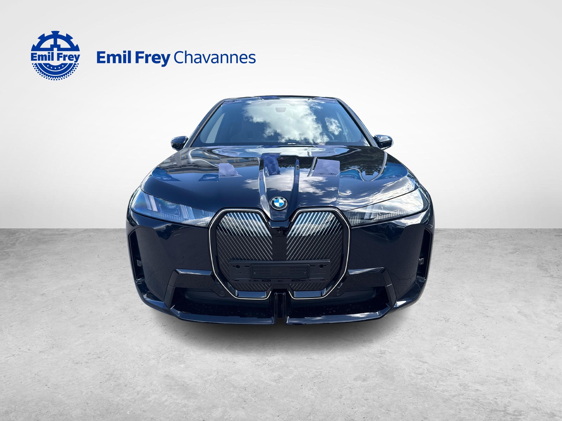 BMW iX xDrive60-image-7