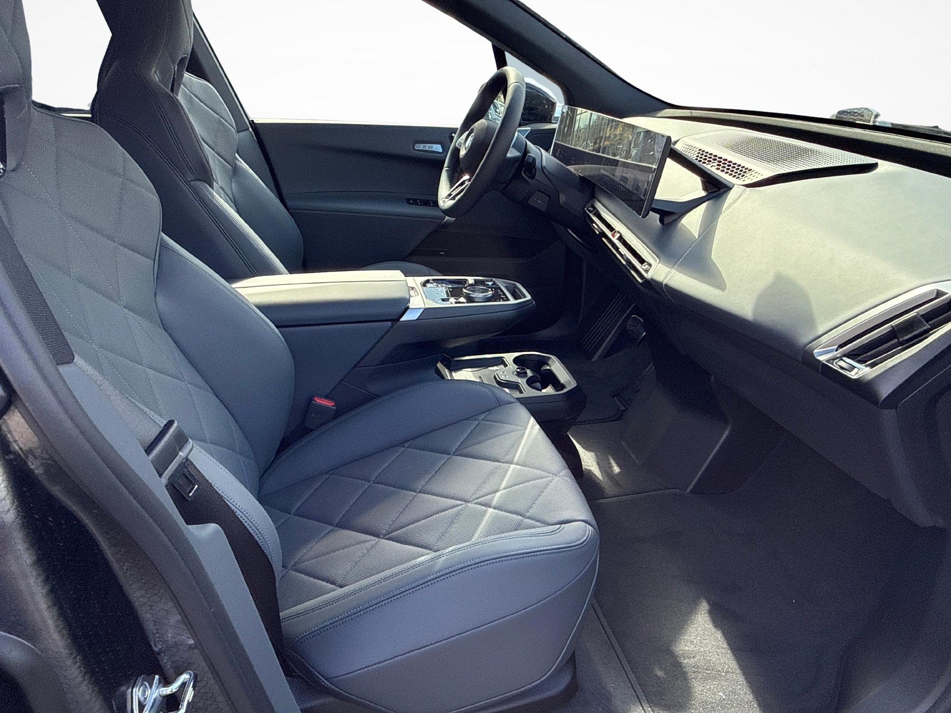 BMW iX xDrive60-image-9