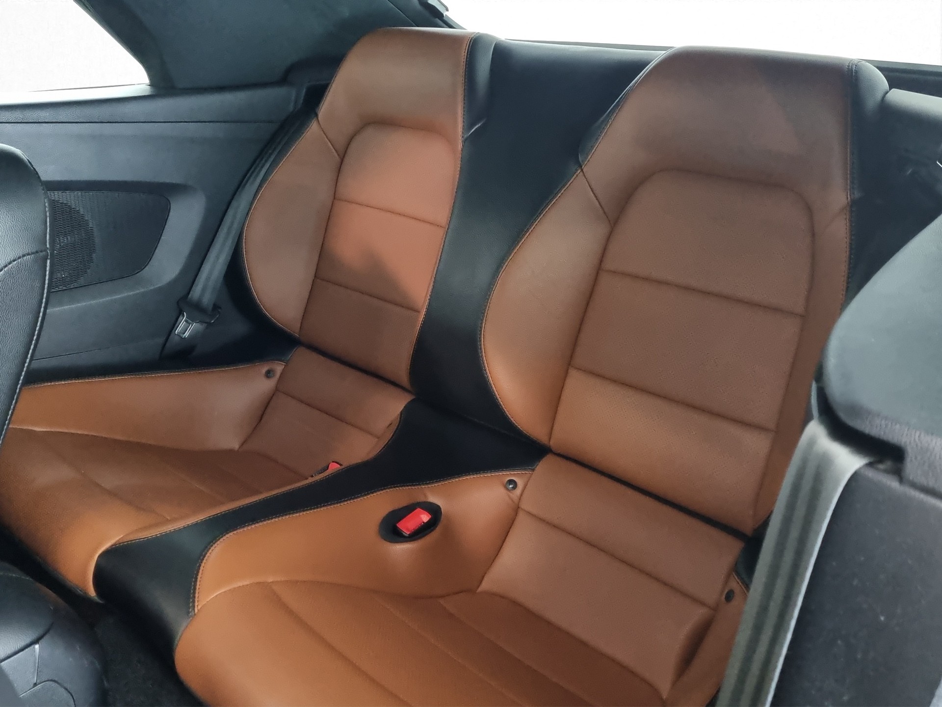 FORD Mustang 5.0 GT V8 Cabrio-image-6