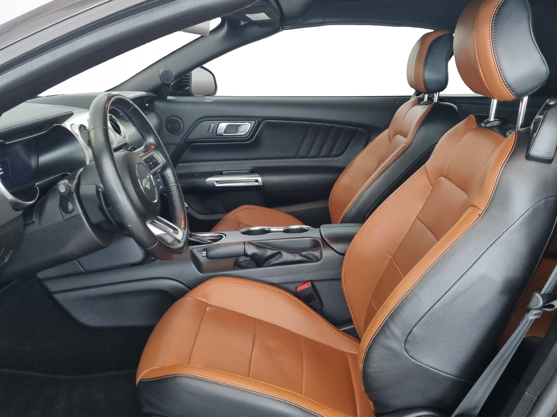 FORD Mustang 5.0 GT V8 Cabrio-image-5