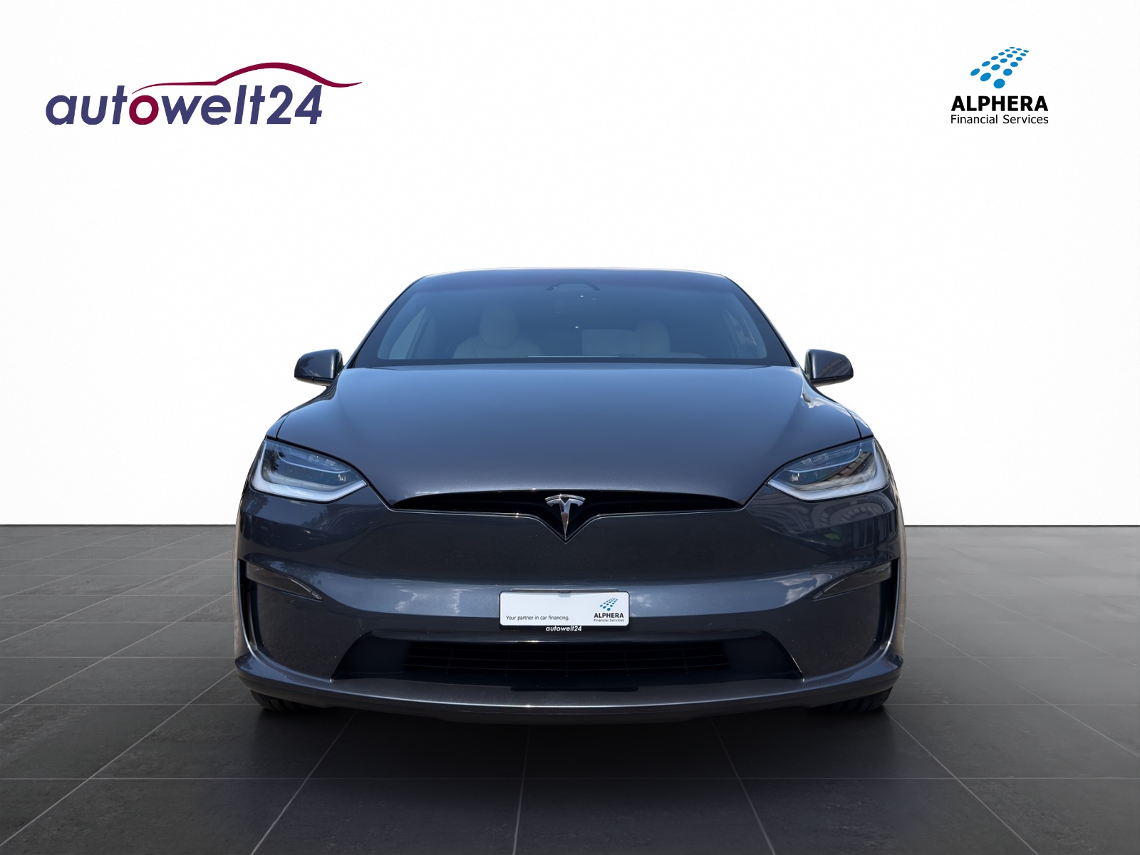 TESLA Model X 100kWh Plaid 6-PLÄTZER!!!-showroom-element-1