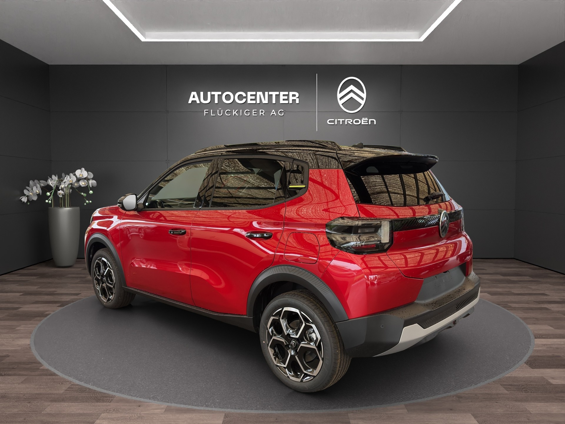 CITROEN e-C3 long range Max-image-1