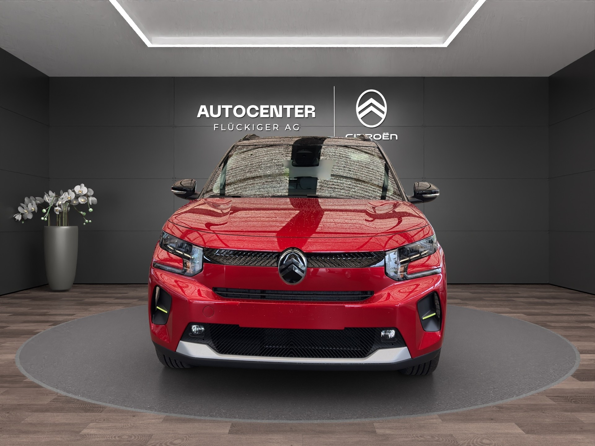 CITROEN e-C3 long range Max-image-6