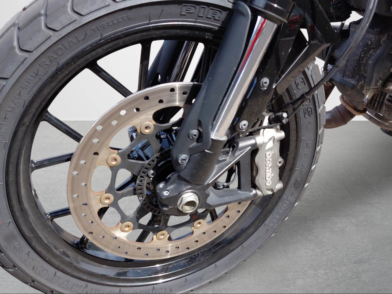DUCATI Scrambler 803 Icon-image-14