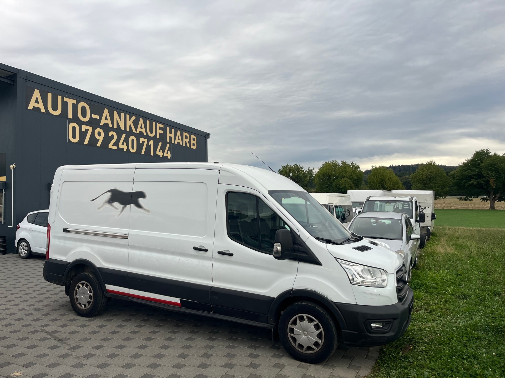 FORD Transit Van 350 L3 Trend 2.0 TDCi 170 HEV FWD-image-4