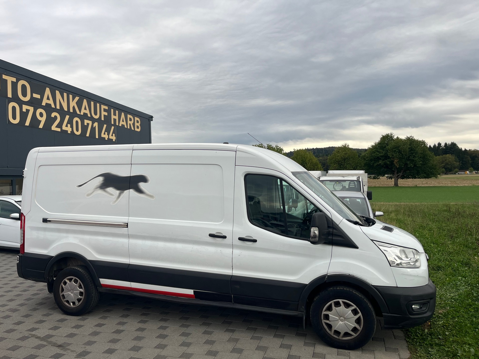 FORD Transit Van 350 L3 Trend 2.0 TDCi 170 HEV FWD-image-1