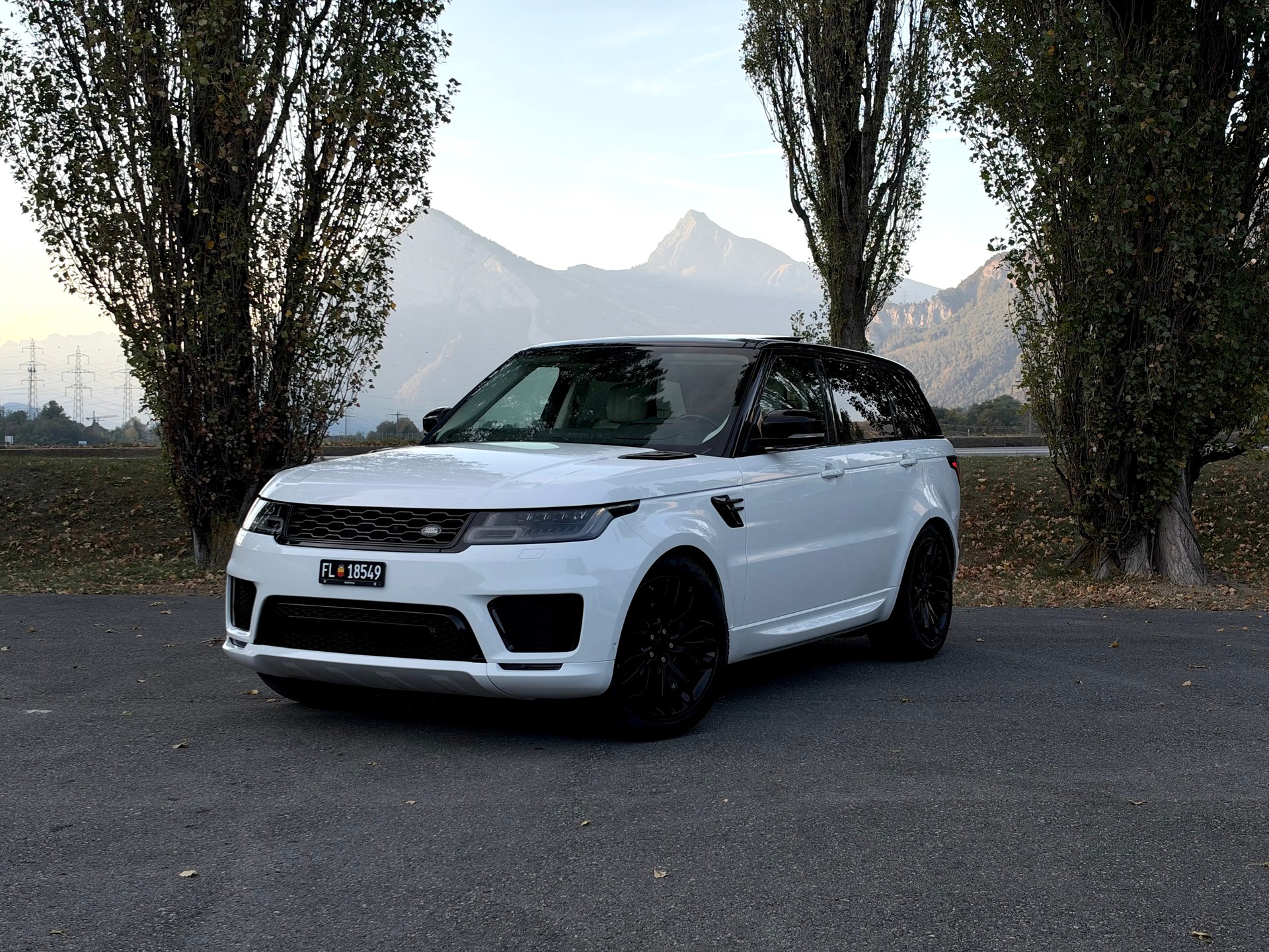 LAND ROVER 3.0 SDV6 HSE Dynamic-image-0