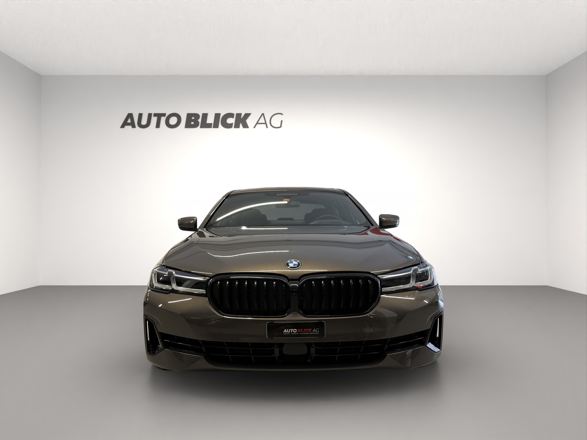 BMW 530d xDrive 48V Luxury Line Steptronic-image-2