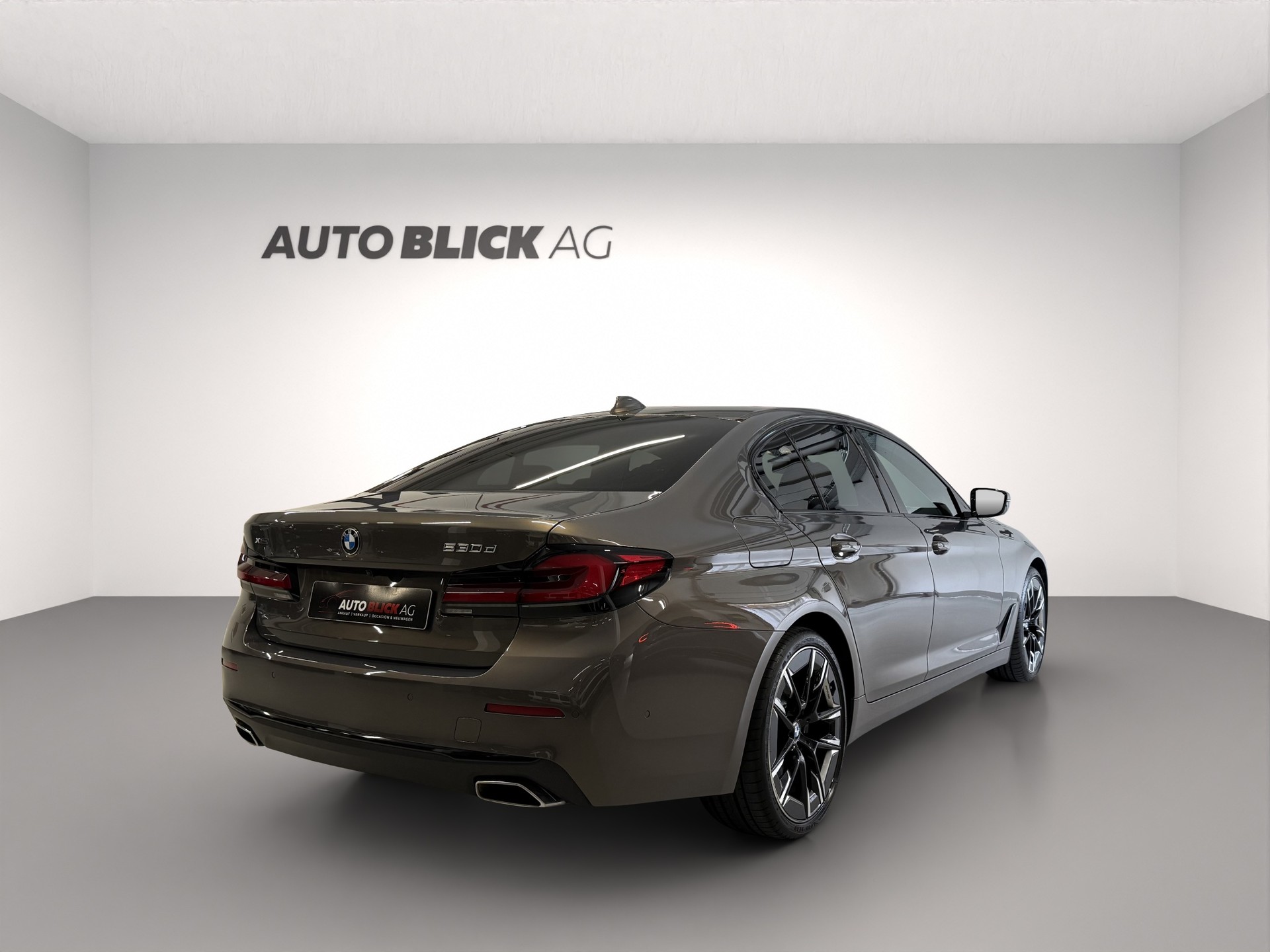 BMW 530d xDrive 48V Luxury Line Steptronic-image-4