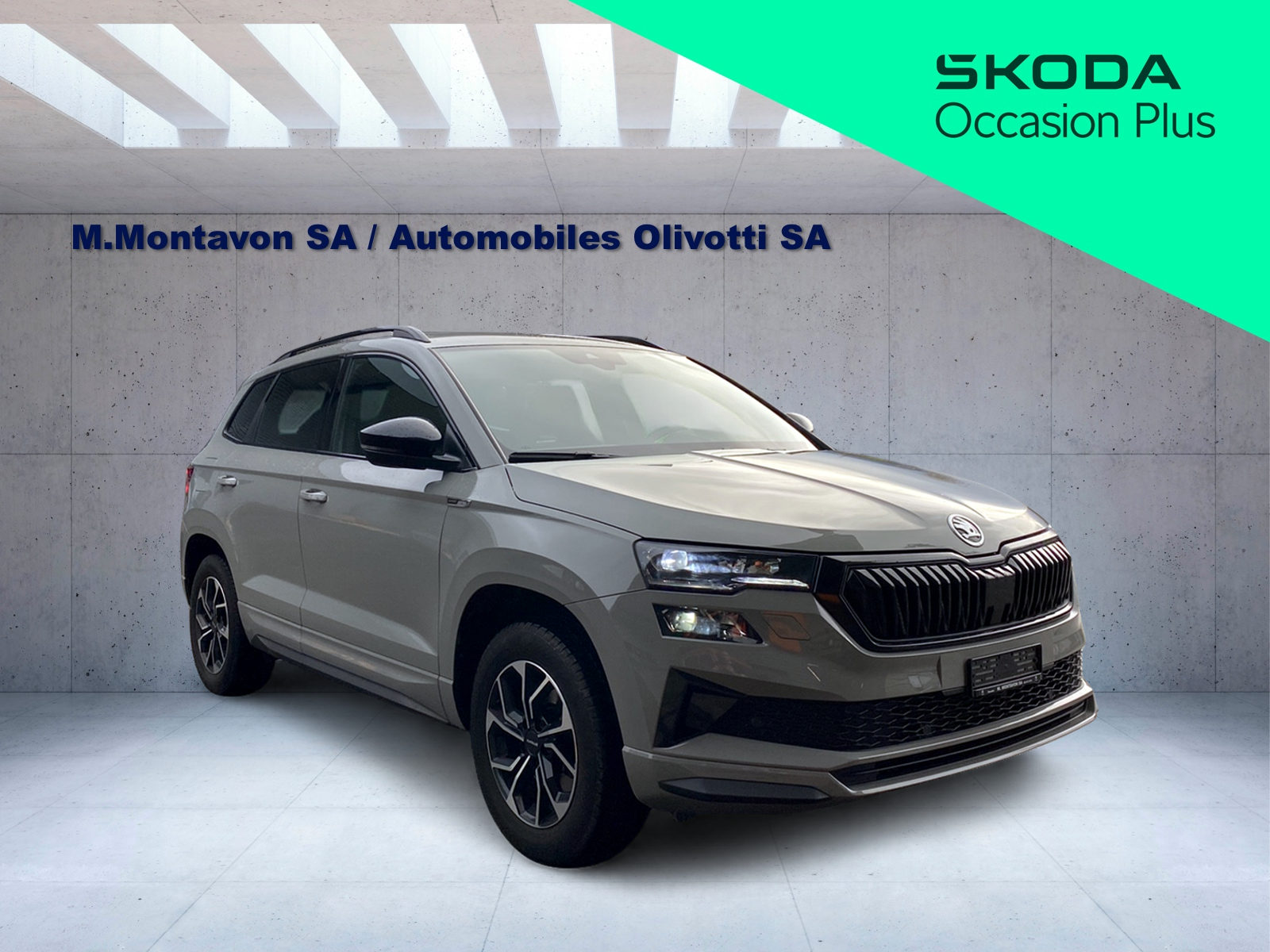 SKODA Karoq 2.0 TDI CR Sport Line 4x4 DSG-image-1