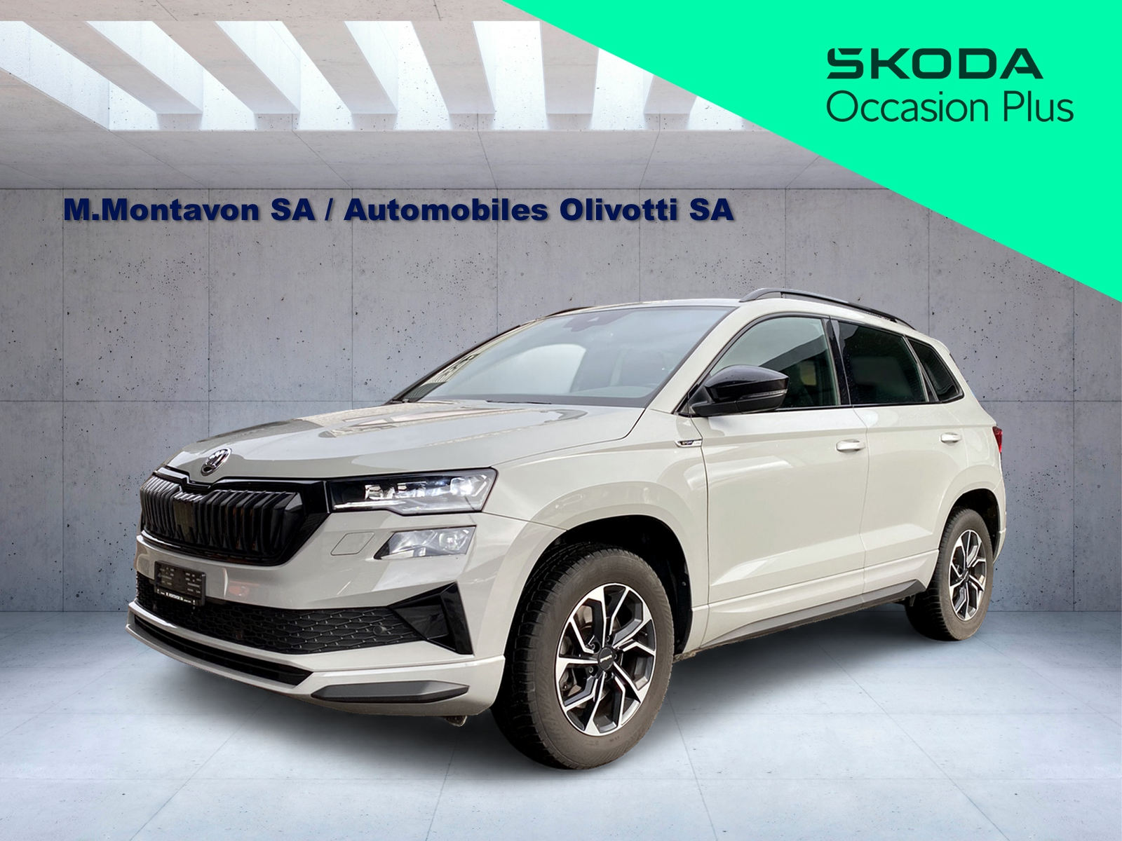 SKODA Karoq 2.0 TDI CR Sport Line 4x4 DSG-image-0