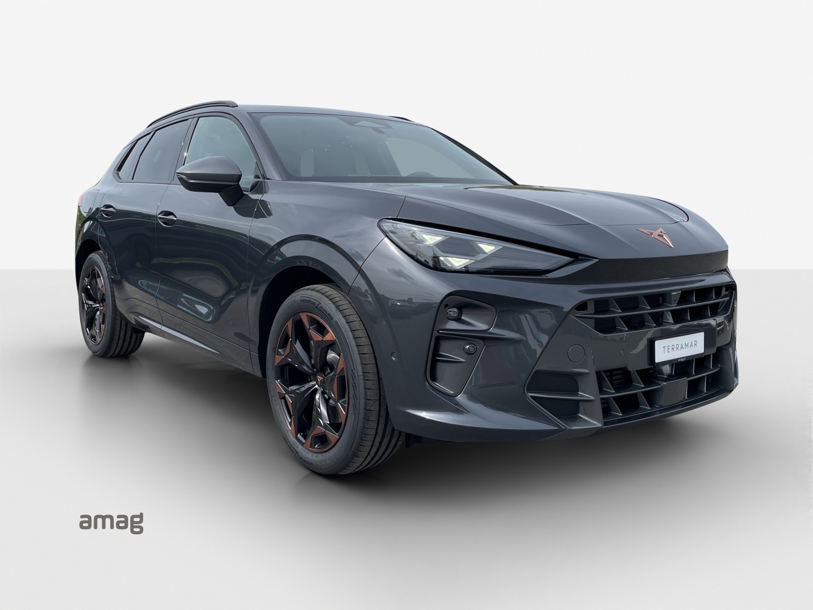 CUPRA Terramar 2.0 TSI DSG Prime Edition VZ 4Drive-image-5