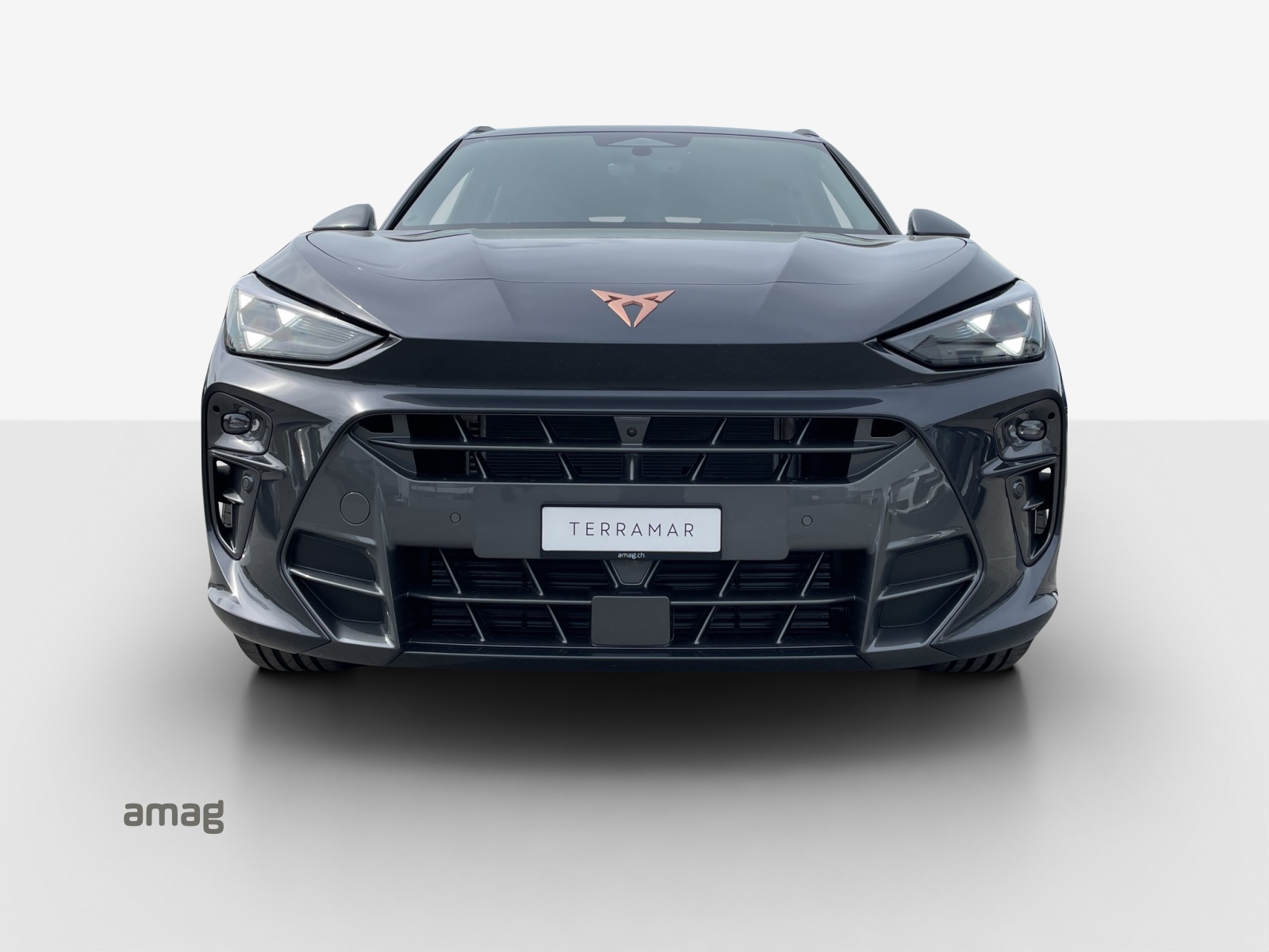 CUPRA Terramar 2.0 TSI DSG Prime Edition VZ 4Drive-image-6