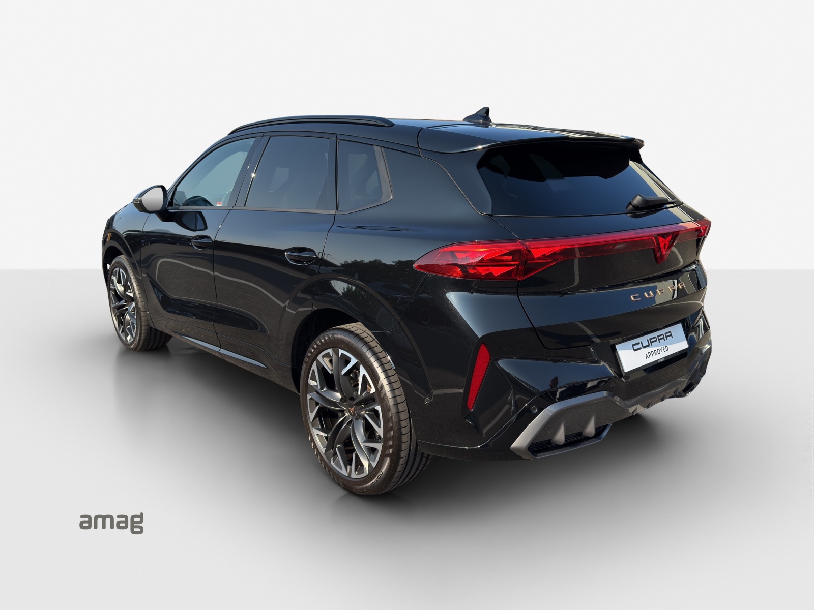 CUPRA Terramar 2.0 TSI DSG 4Drive VZ-image-2